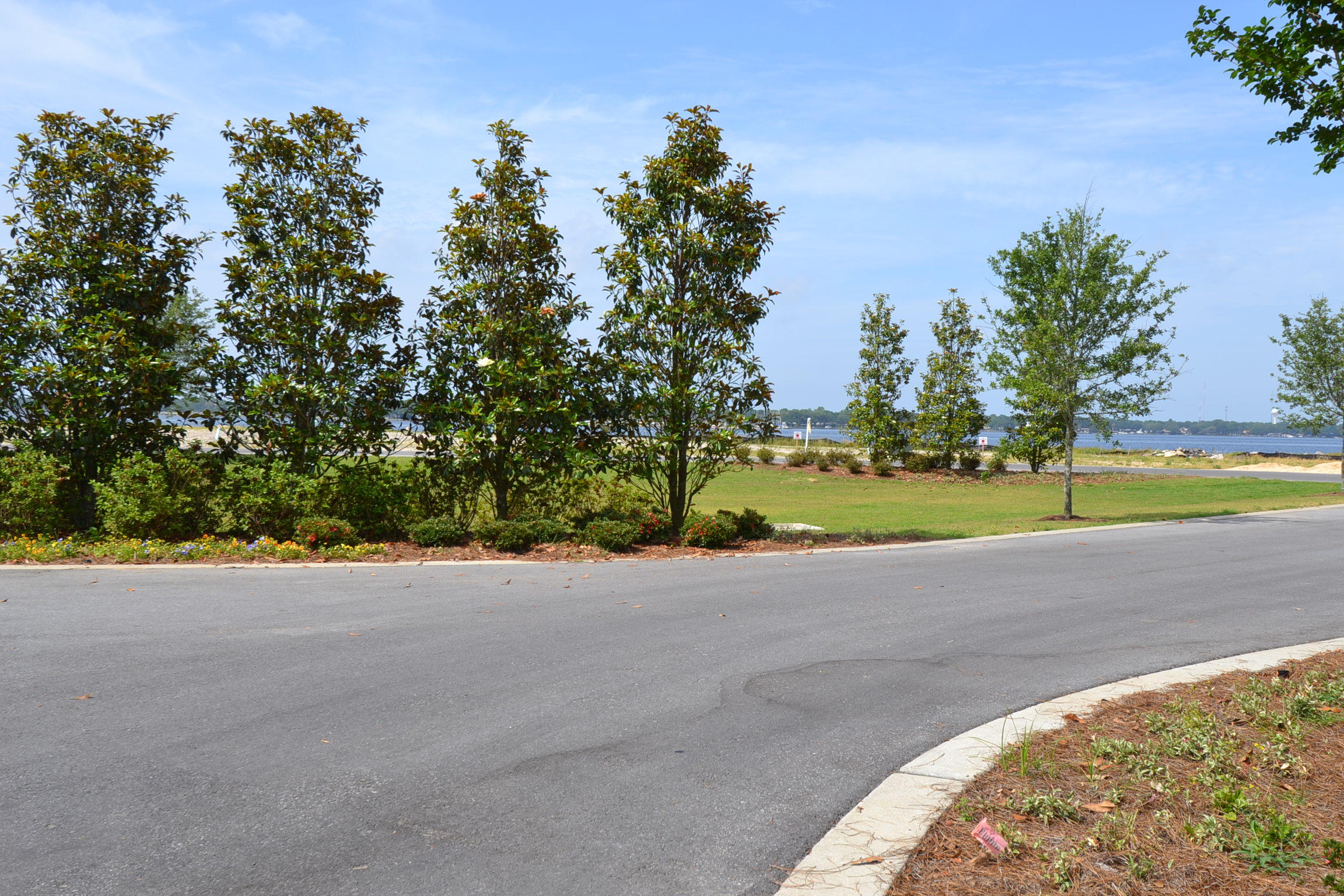 The Pointe - Land