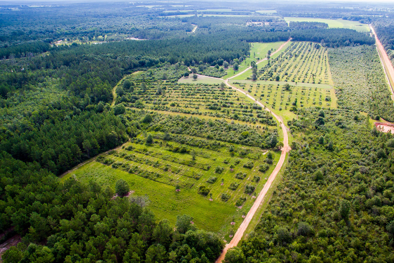 Magnolia Ranch - Land
