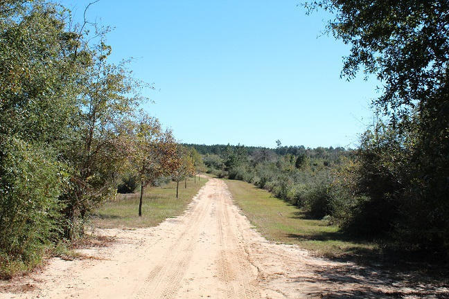 Magnolia Ranch - Land