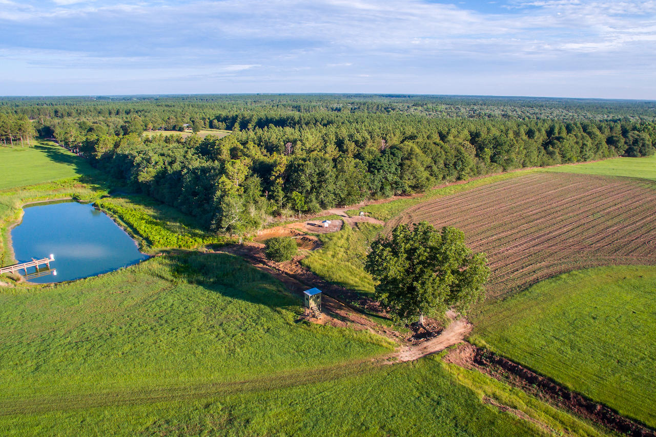 Magnolia Ranch - Land