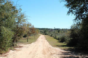 Magnolia Ranch - Land