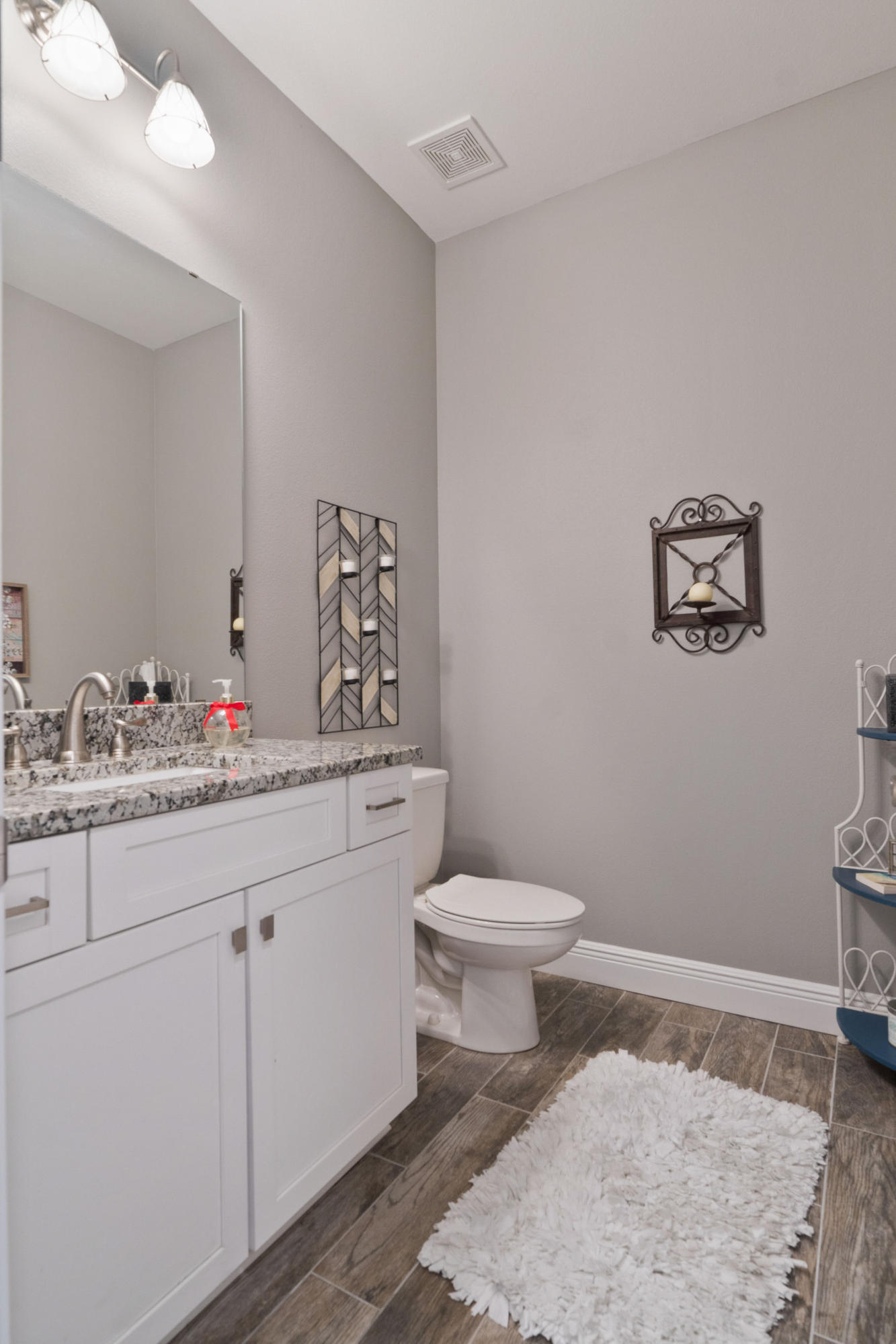PALMETTO LAKE PRESERVE - Residential