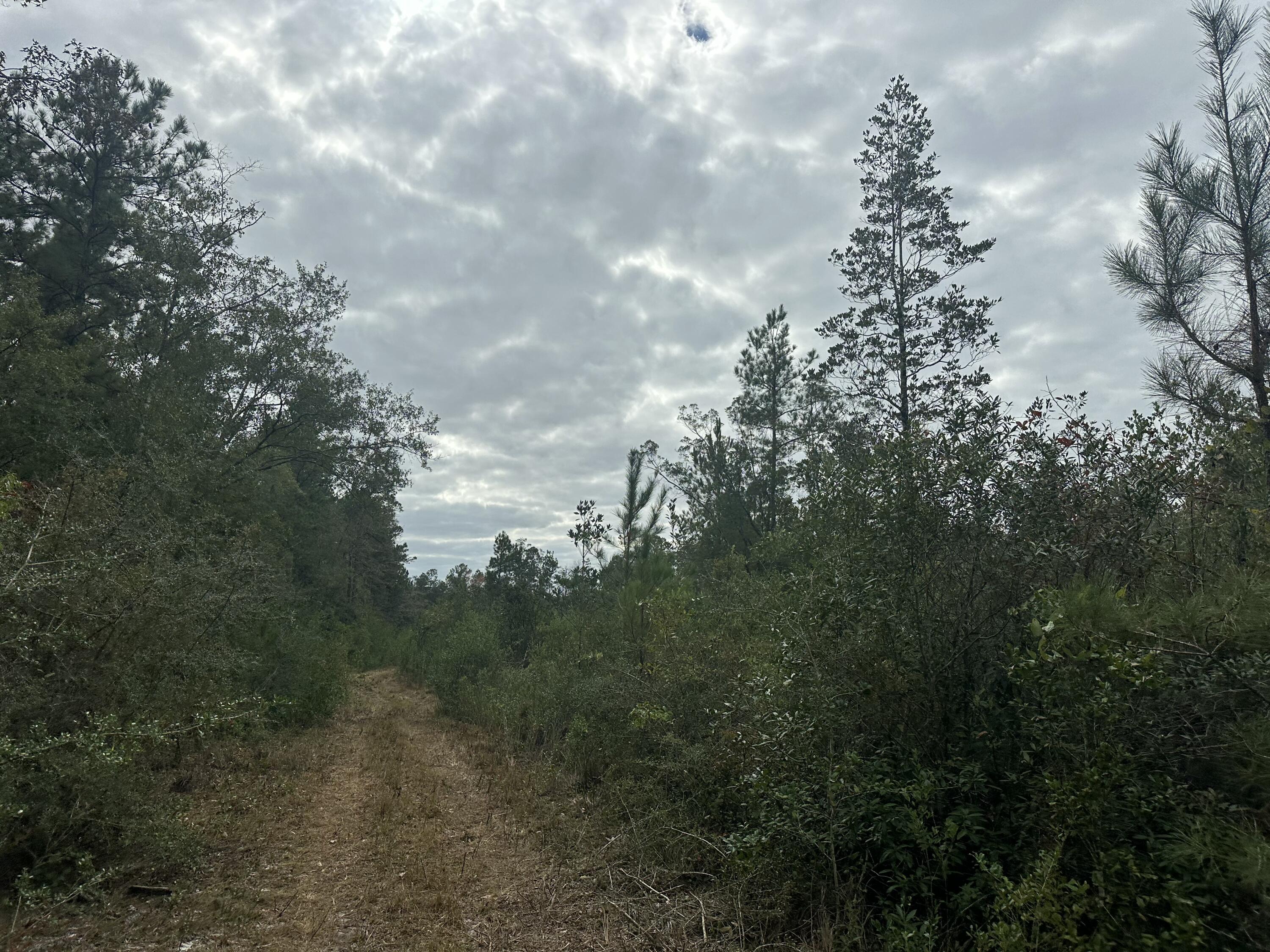 NO RECORDED SUBDIVISION - Land