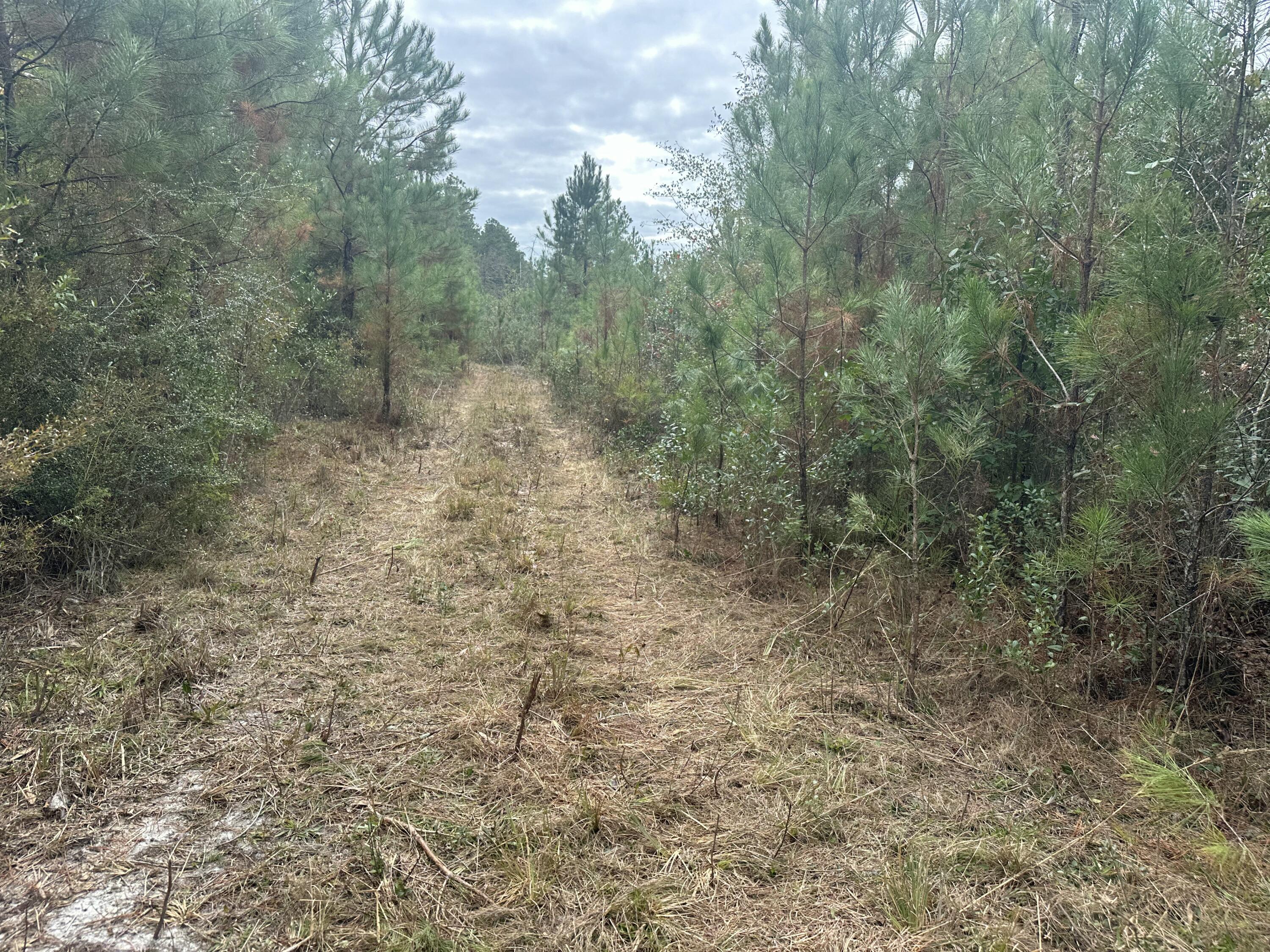 NO RECORDED SUBDIVISION - Land