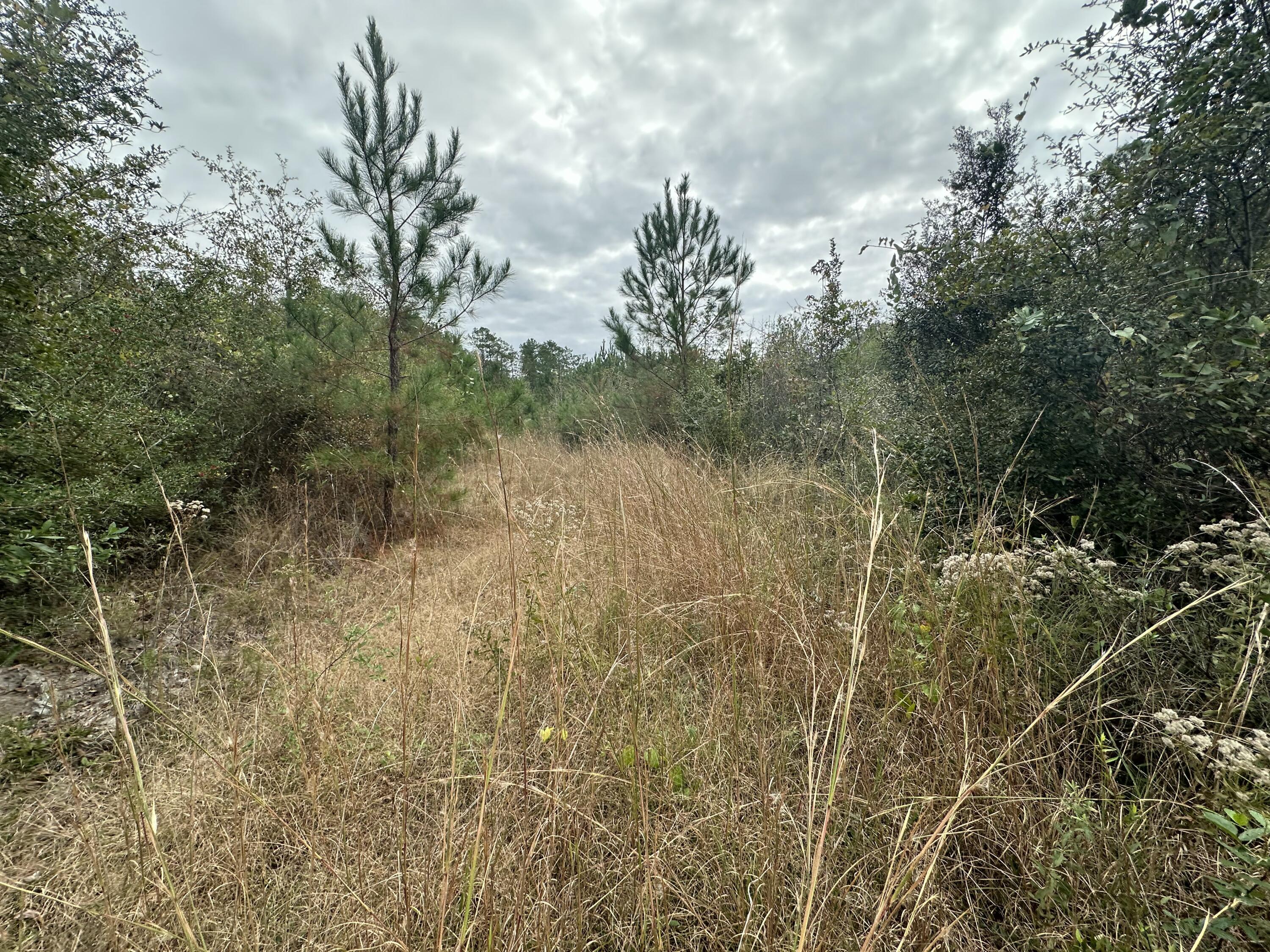 NO RECORDED SUBDIVISION - Land