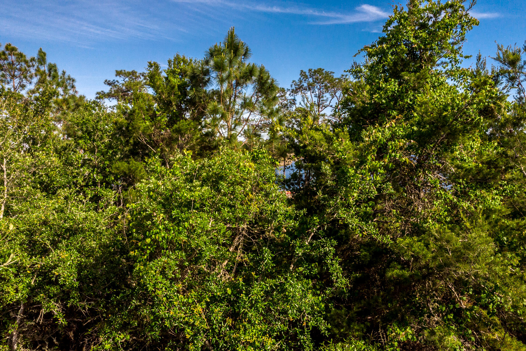 LAKE PLACE AT GRAYTON BEACH T/H - Land