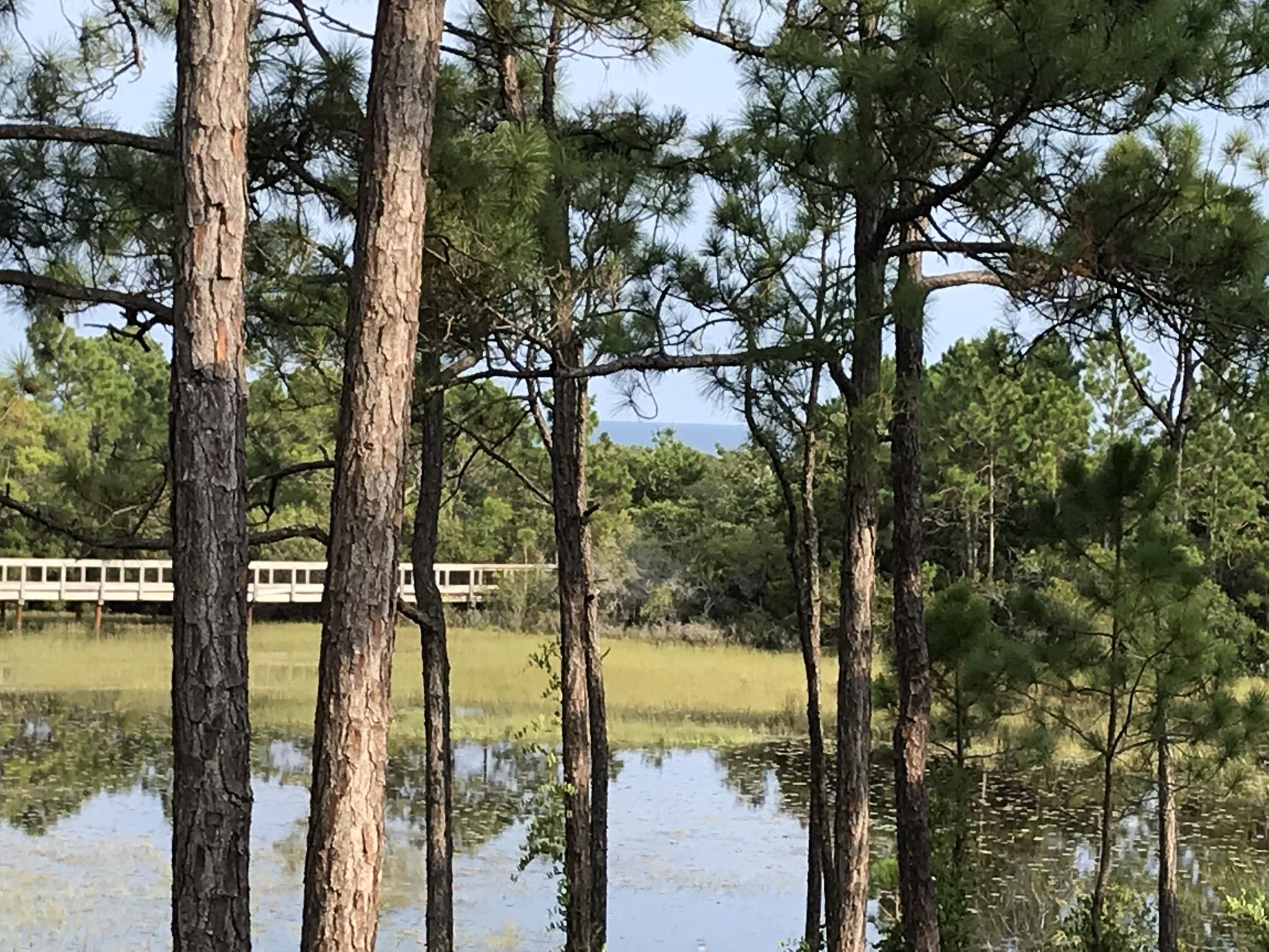 Gorgeous Gulf and Lake view home south of 30A available for long term rental! A tranquil 3 bdrm. 3 1/2 bath, furnished, single family home with priceless lake frontage and beautiful Gulf views and and easy walk to the beach. There's a wide open kitchen/dining/living area with fire place and hardwood floors overlooking the lake. Stainless steel appliances and granite kitchen counters provide a modern touch! Offering 2 master suites, each with its own bathroom, porch/balcony. The third floor master suite has its own private deck and stunning Gulf views. Relax watching the wildlife and marvel at the ocean, whilst nestled amidst pines and magnolias bordered by Deer Lake State Park. Enjoy decks on all 3 stories, perfect for your summer grilling or an evening glass of wine. There's even a garage for your car and beach toys. A slice of paradise located between Seaside and Rosemary Beach with world class shopping, restaurants, art galleries, festivals and concerts at your fingertips. Close by activities include the famous Scenic 30A biking, tennis, golf courses, boating, walking paths and a short 7 minute walk to the sugar white sands of the beach. Mar A Lago is an incredibly special and private community of 14 homes fronting Deer Lake. The community also has its own private pool. Available for an annual lease; perfect for those building in the area or wanting to explore beach living in the beautiful 30A community prior to buying. (Owner/Broker). Available August 1, 2019