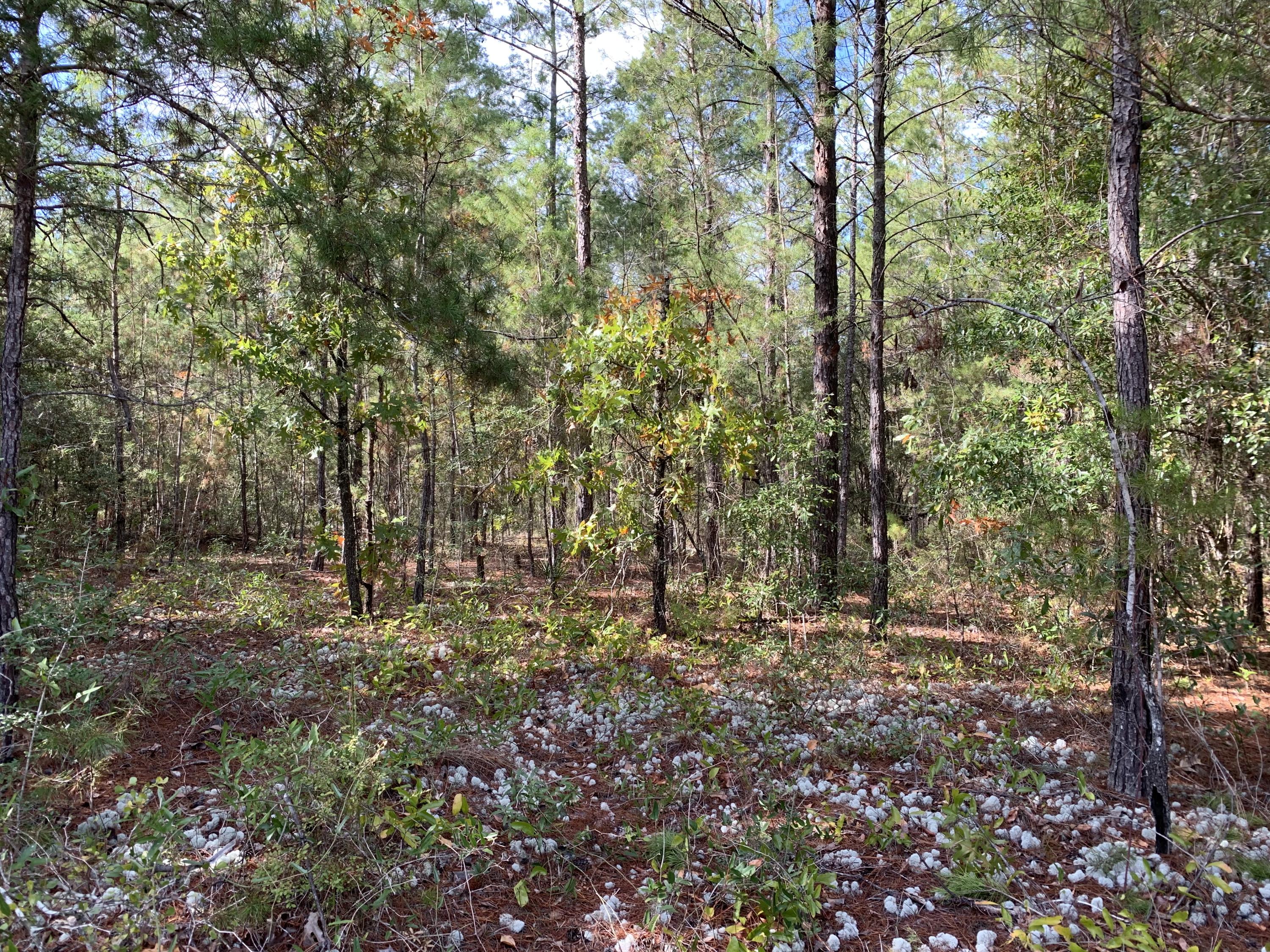 OAKWOOD HILLS UNIT 3 - Land
