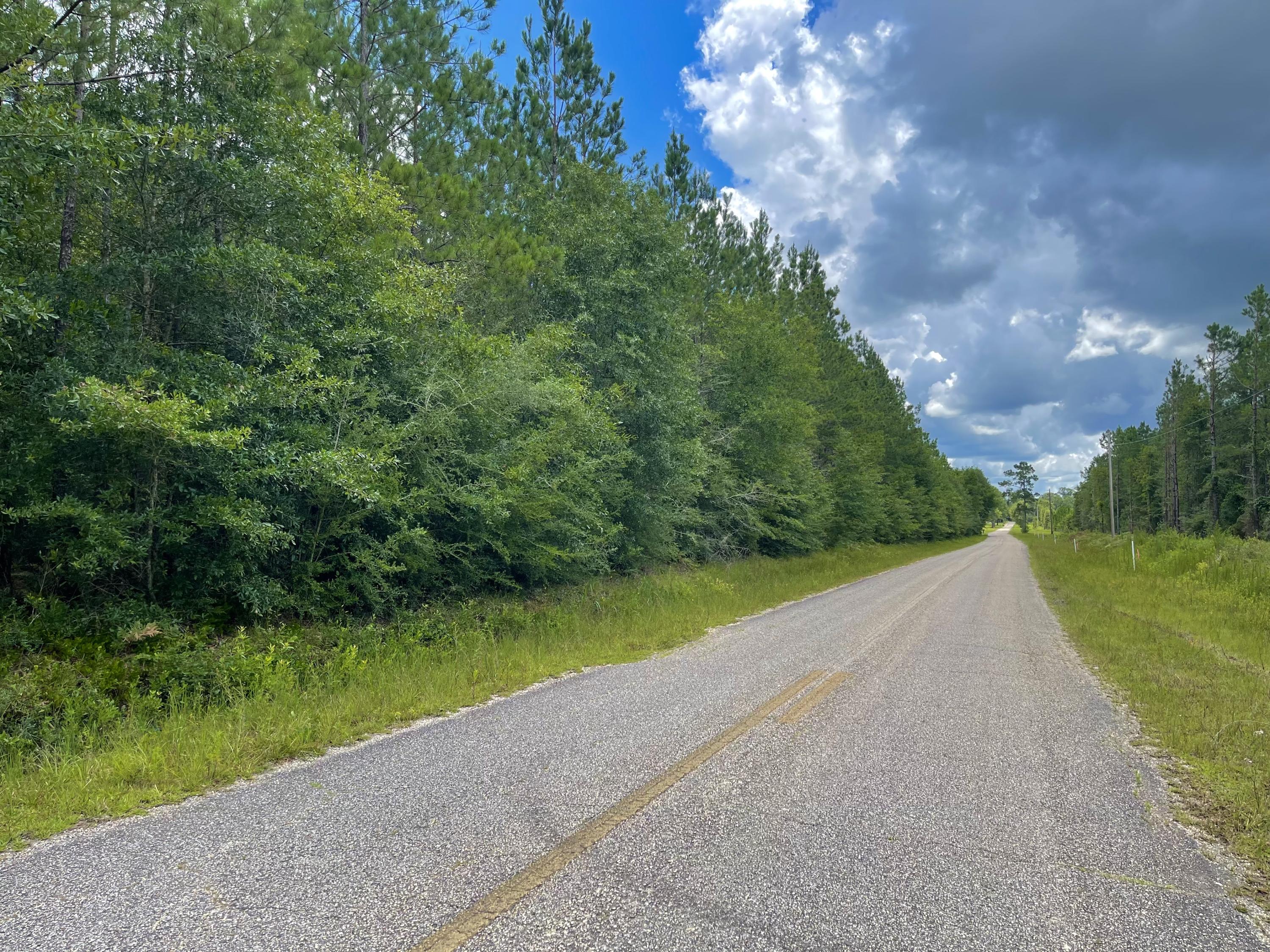 Welcome to the country! With this property being out of a flood zone, it is perfect for you and your future home. This property is covered in pine trees and blueberry bushes. Just a quick drive to the whitest beaches on the Emerald Coast. Electric is available! There is an existing survey already. Don't miss out on this.