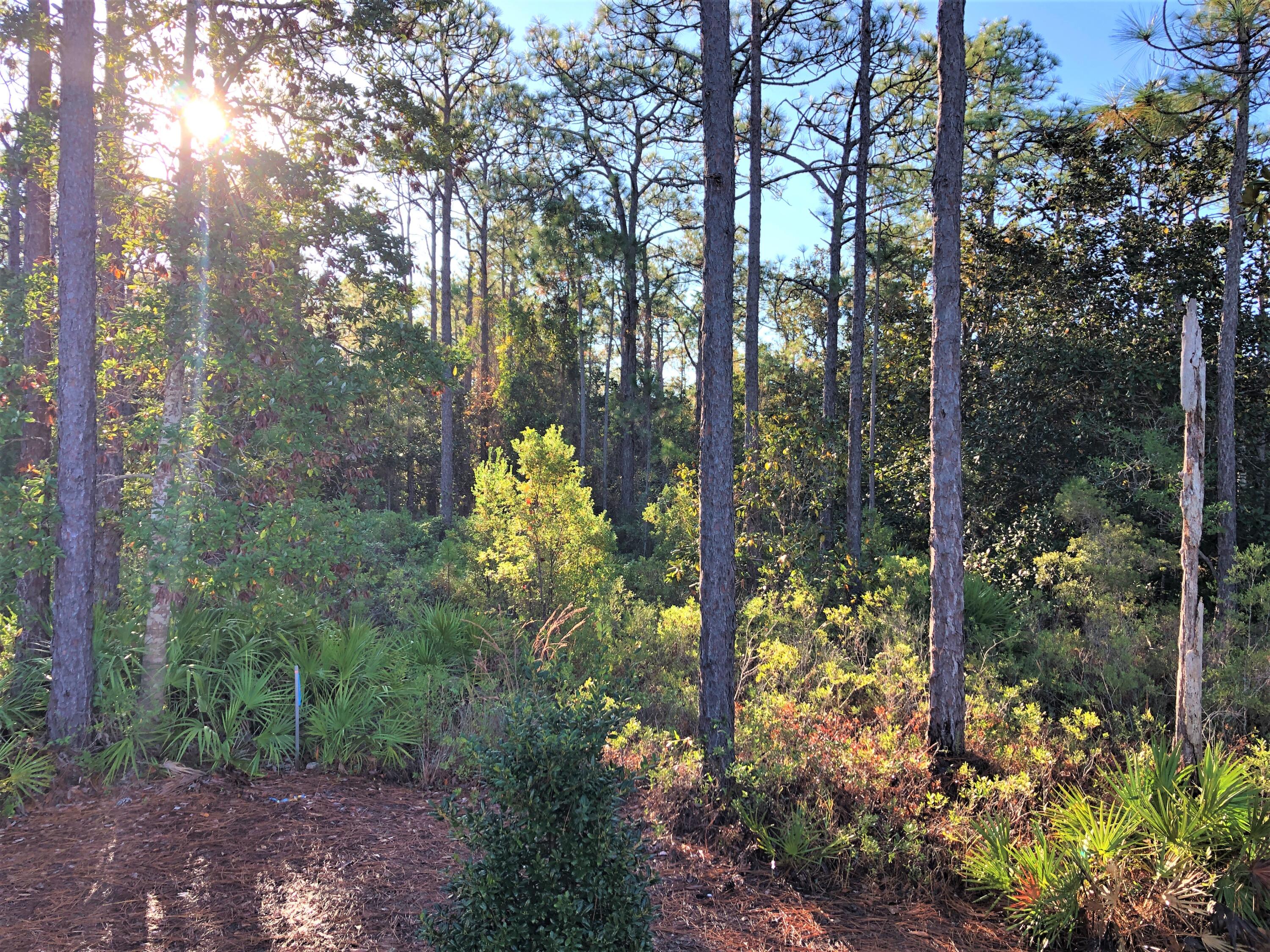 MACK BAYOU PARK - Residential Lease