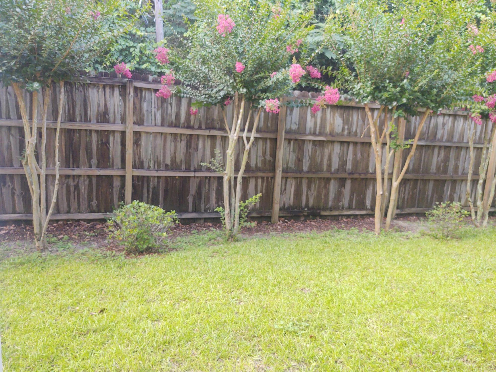 FWC FOREST WAY - Residential Lease