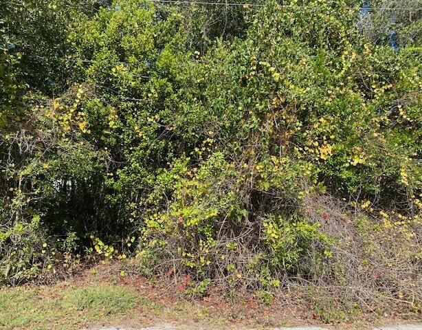 Great lot in a great location. Located on a dead end road. Lot 8 is also available for purchase.