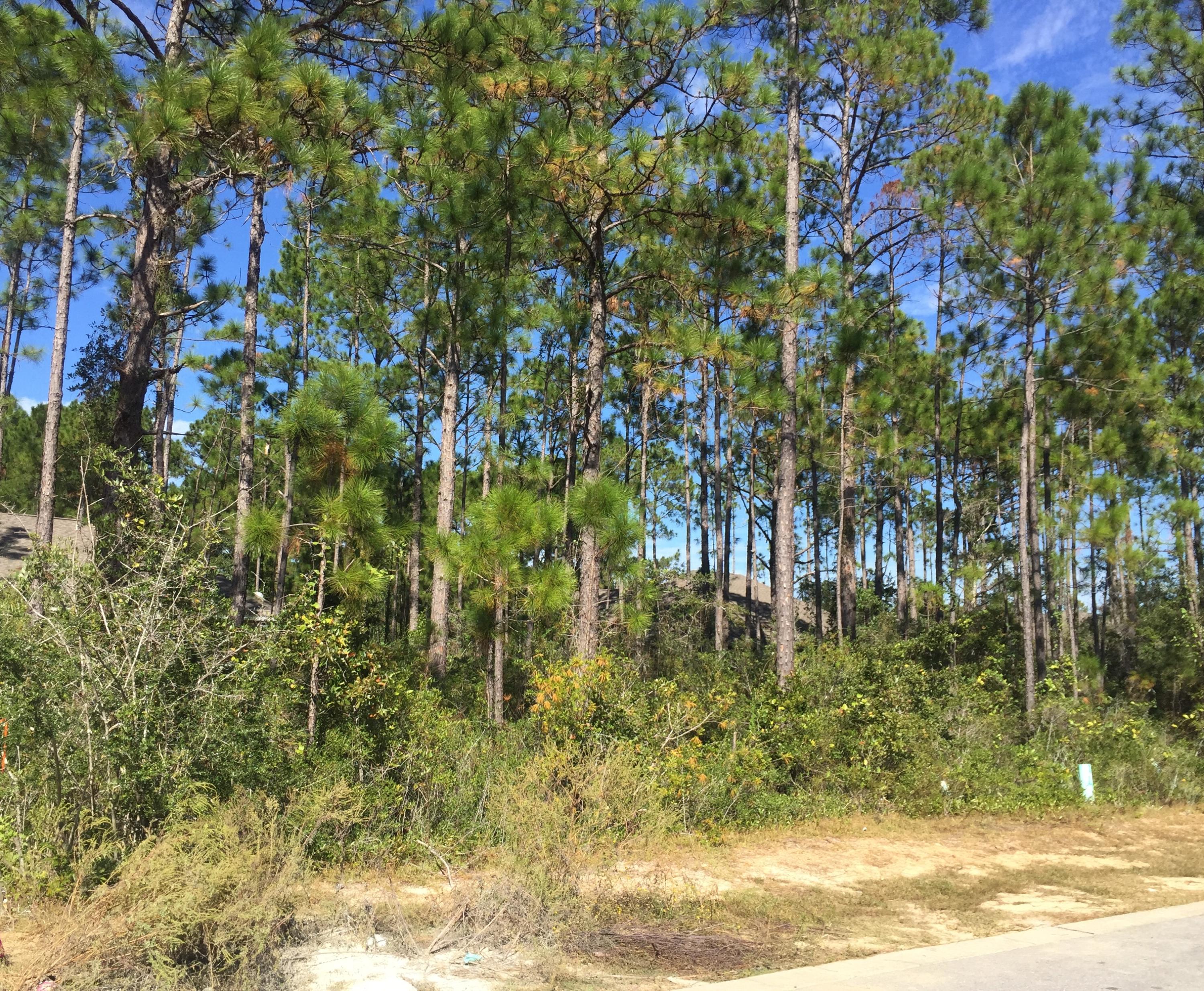Have You Been Looking For The Perfect Lot To Build Your New Home? You'll Love This Residential Lot That's Nestled In Harstvedt Plantation! Conveniently Located Just A Short Walk Or Bike Ride Away From The Choctawhatchee Bay & Only Minutes From The Highly Sought After 30a! The Community Itself Is Comprised Of Homes In The Mid $200's To Low $300's. With Low HOA Fees & Located In An 'X' Flood Zone, It's Easy To See Why This Is The Perfect Location For Your New Home! Call Today & Make Arrangements To See For Yourself All That This Amazing Home Site Has To Offer. As Always, Buyer to Verify Square Footage, Dimensions, HOA Fees & Dues.