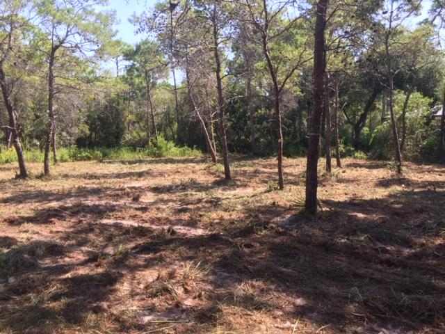 KELLY PLANTATION S/D PH 3 - Land