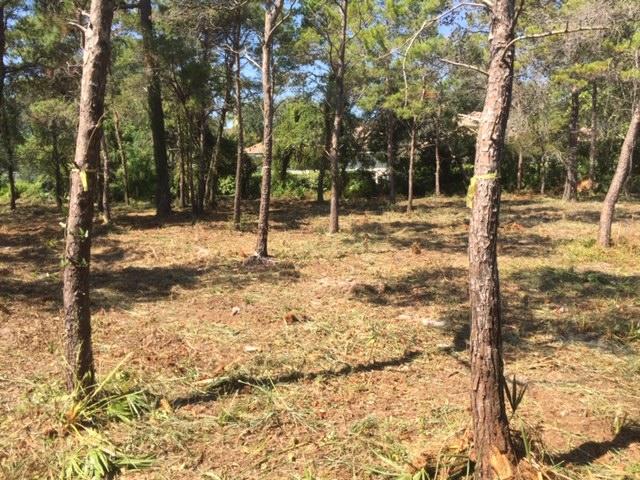 KELLY PLANTATION S/D PH 3 - Land