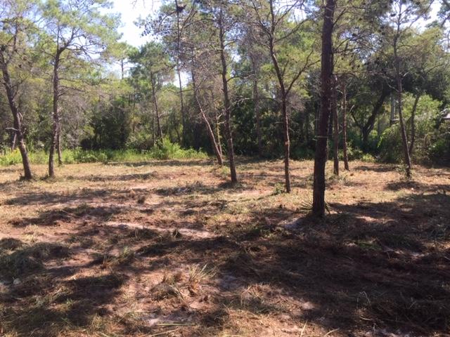 KELLY PLANTATION S/D PH 3 - Land