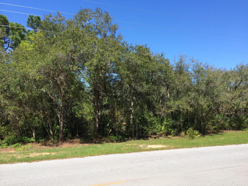 Half acre parcel located one lot away from the bay. Parcel consists of 2 quarter acre lots. Neighboring lots 6 & 12 Hatchee Shores S/D are still available! Search MLS # 748105 for more information on remaining lots.