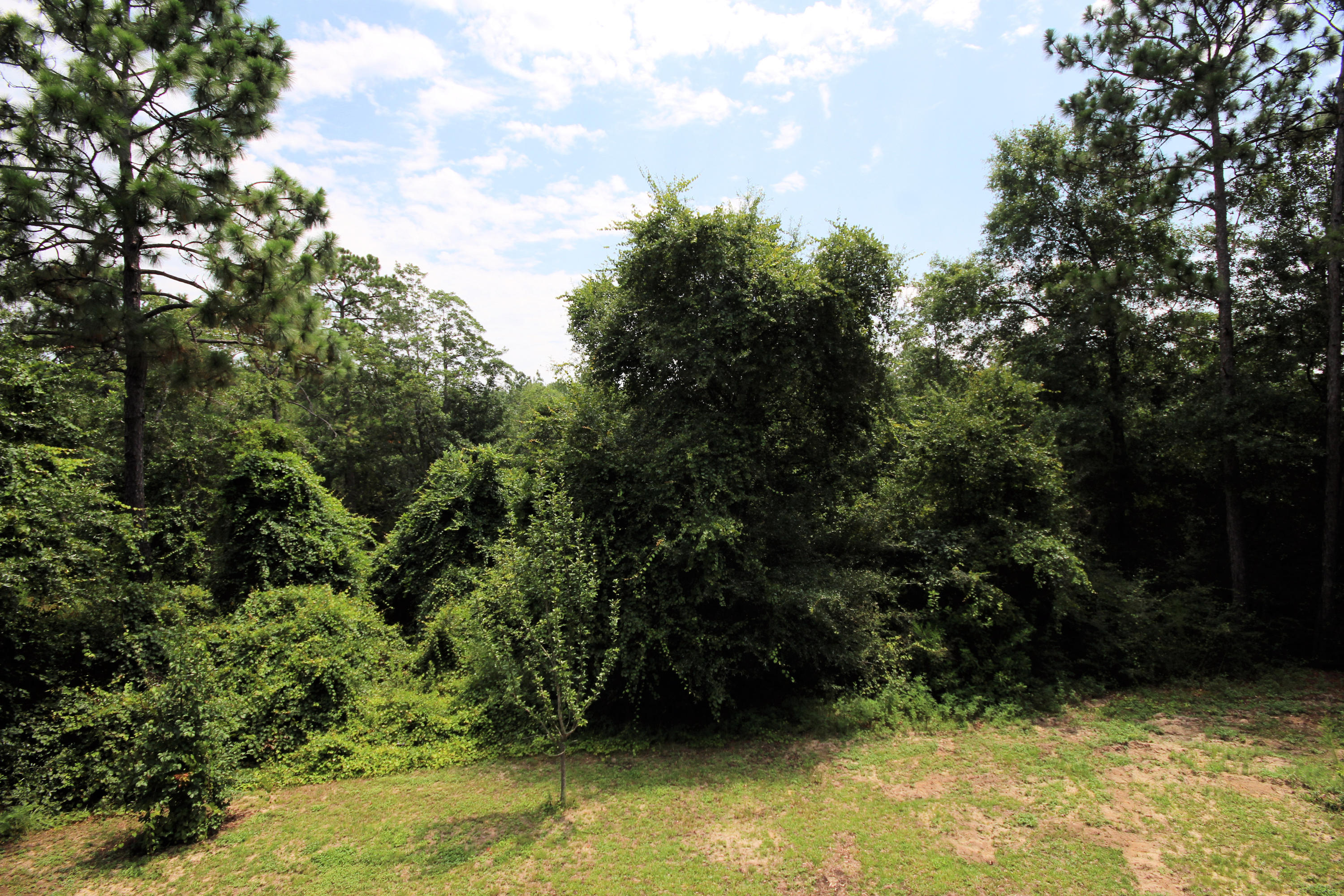 SPRING HOLLOW ESTATES - Residential