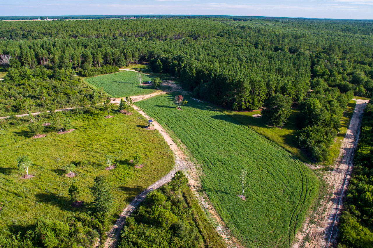 MAGNOLIA RANCH - Residential