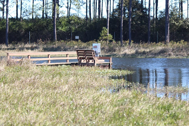 MAGNOLIA RANCH - Residential