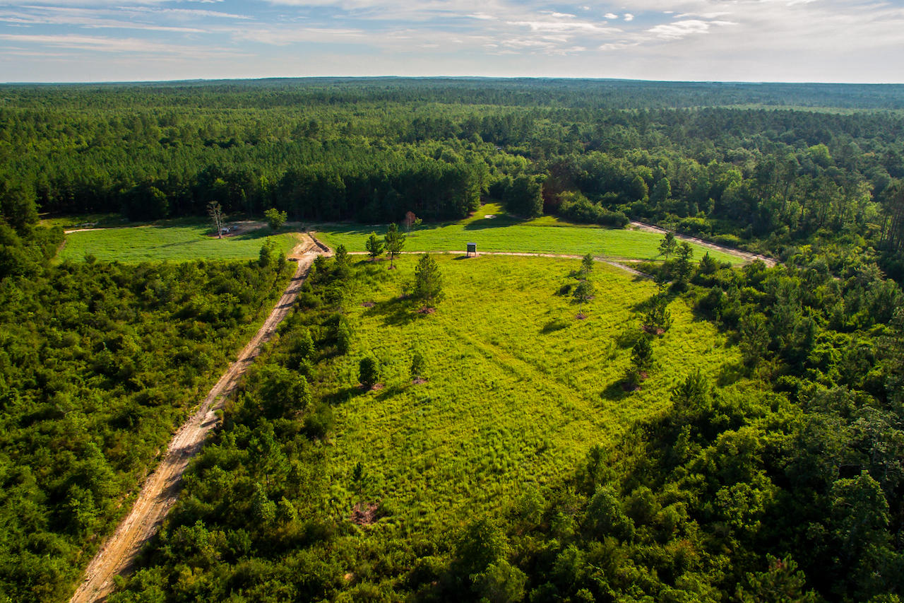 MAGNOLIA RANCH - Residential