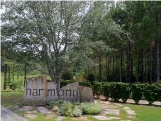 HAMMOCK BAY - Land
