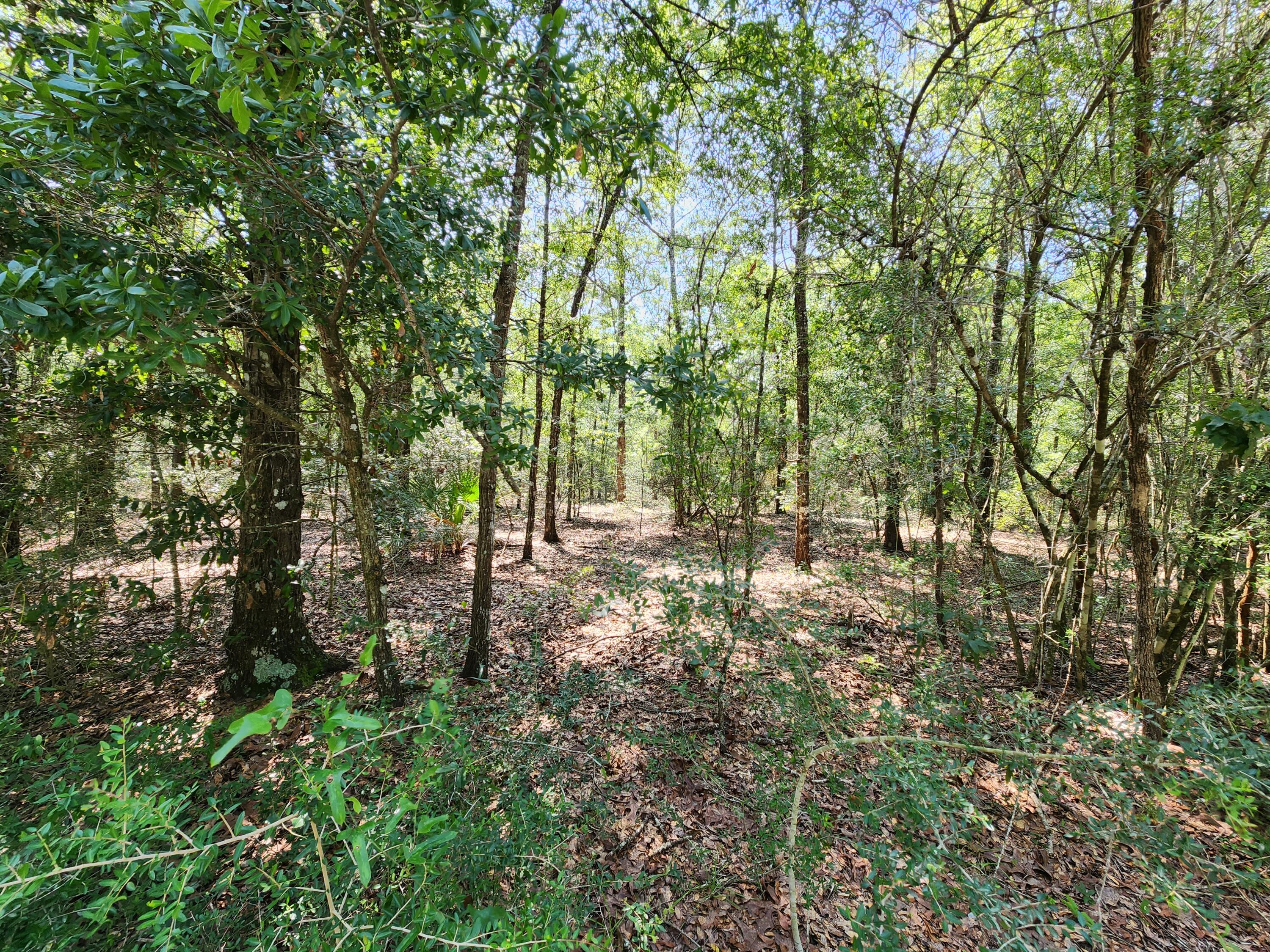 SPRING HILL ESTATES - Land