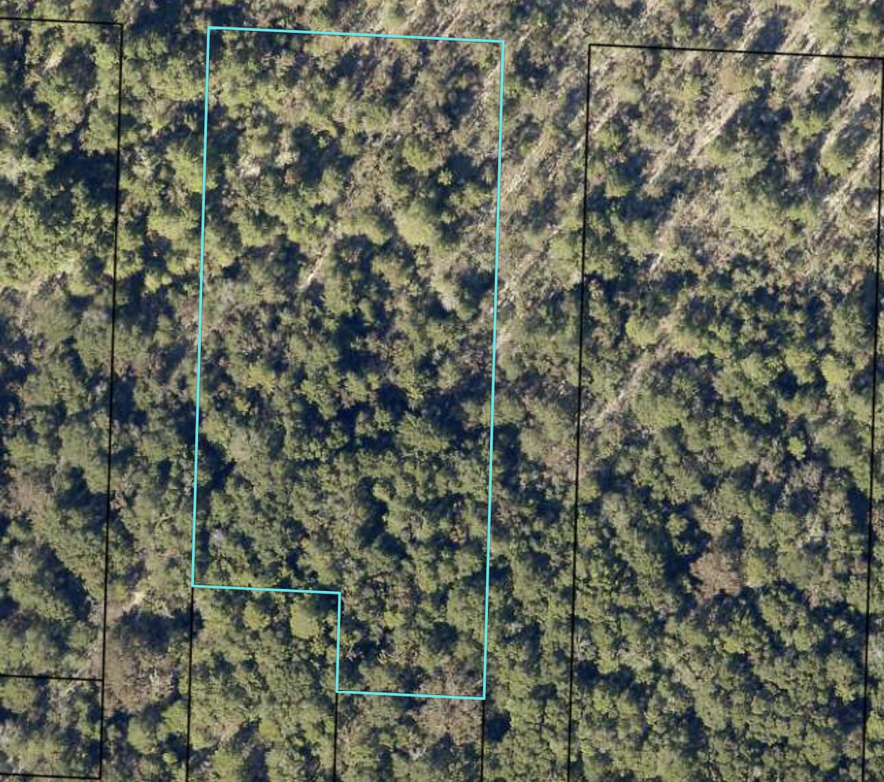 PINETREE - Land