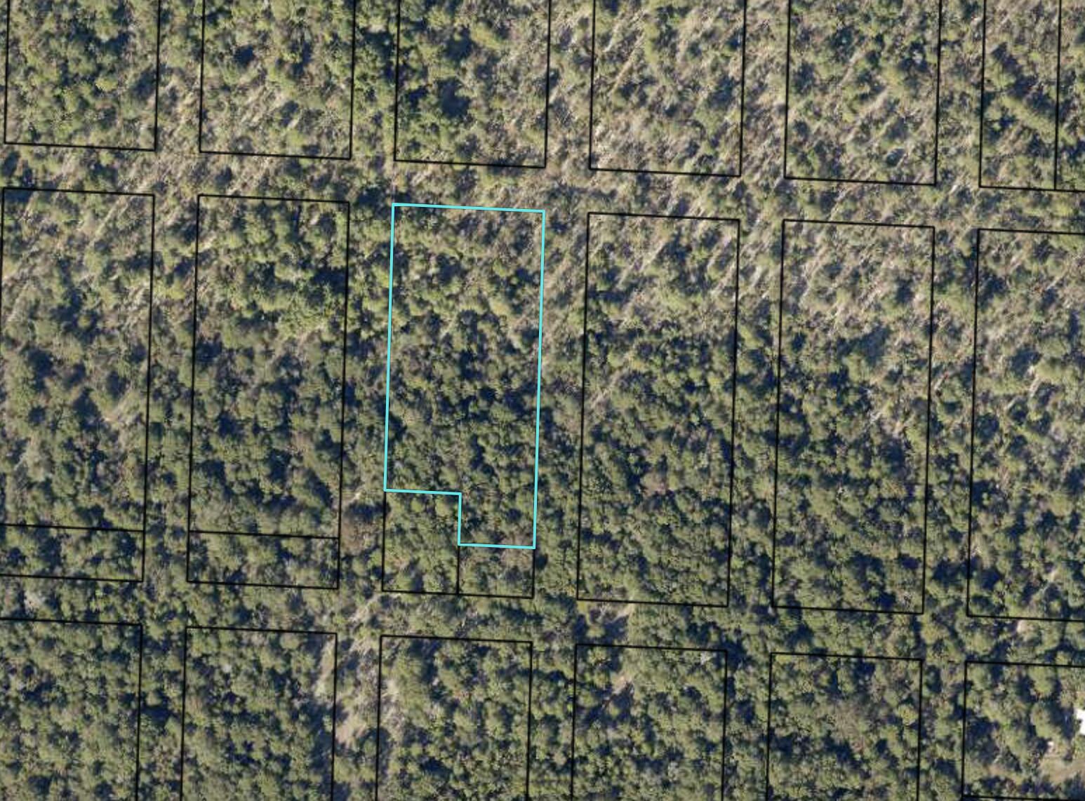 PINETREE - Land