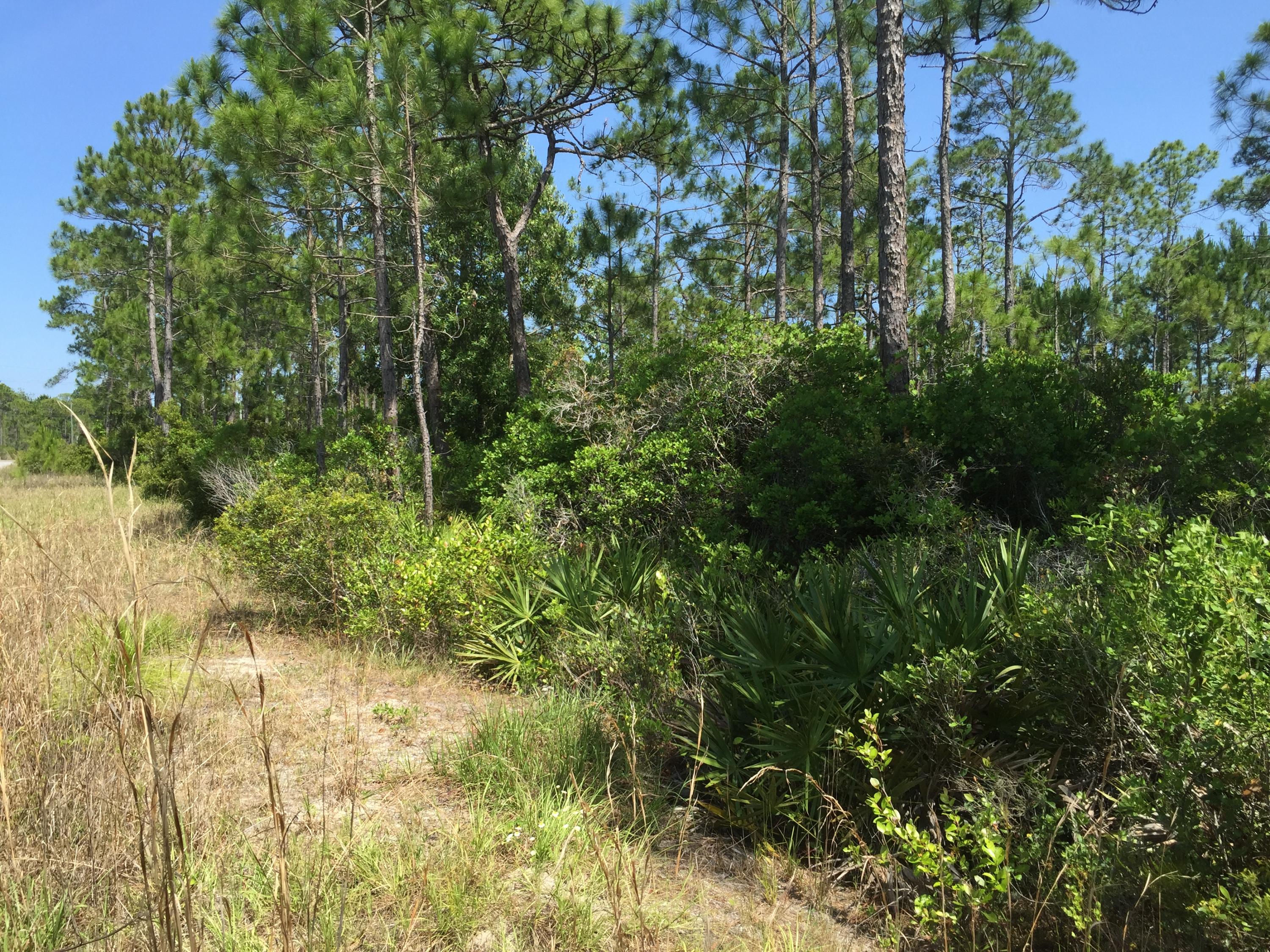SANTA ROSA PLANTATION - Land