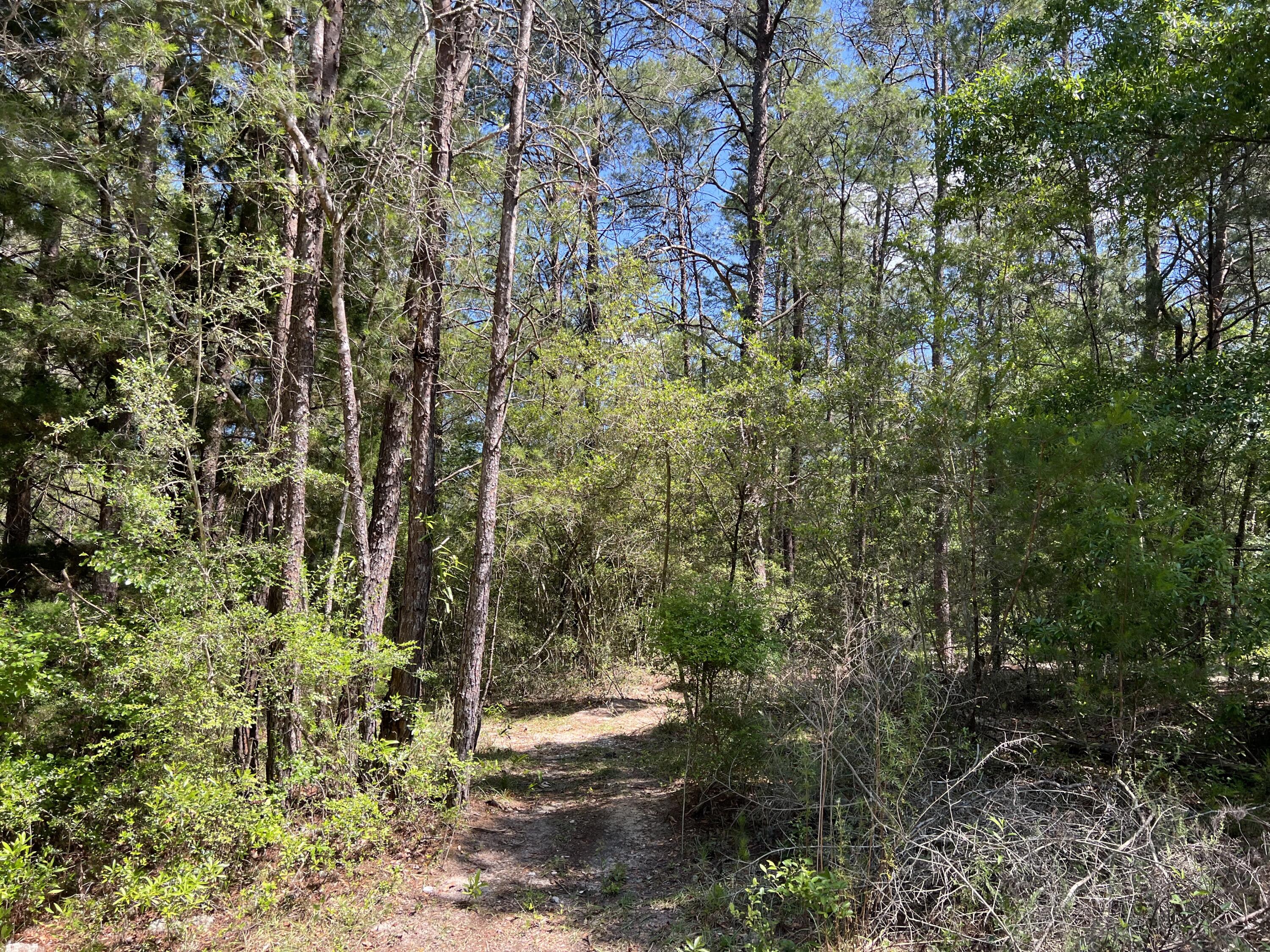 OAKWOOD HILLS - Land