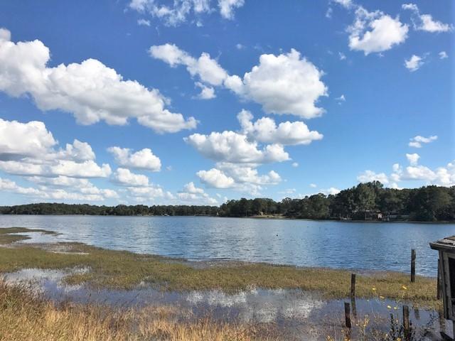 Almost 3/4 acre with apx. 160 feet on Kings Lake. There is an old mobile home currently on the property that is given no value. Electric previously on the property (power pole in place but no meter). Water meter at road and just need to pay deposit to have that connected ($75). There is a septic tank on property as well but seller makes no warranties on utilities.