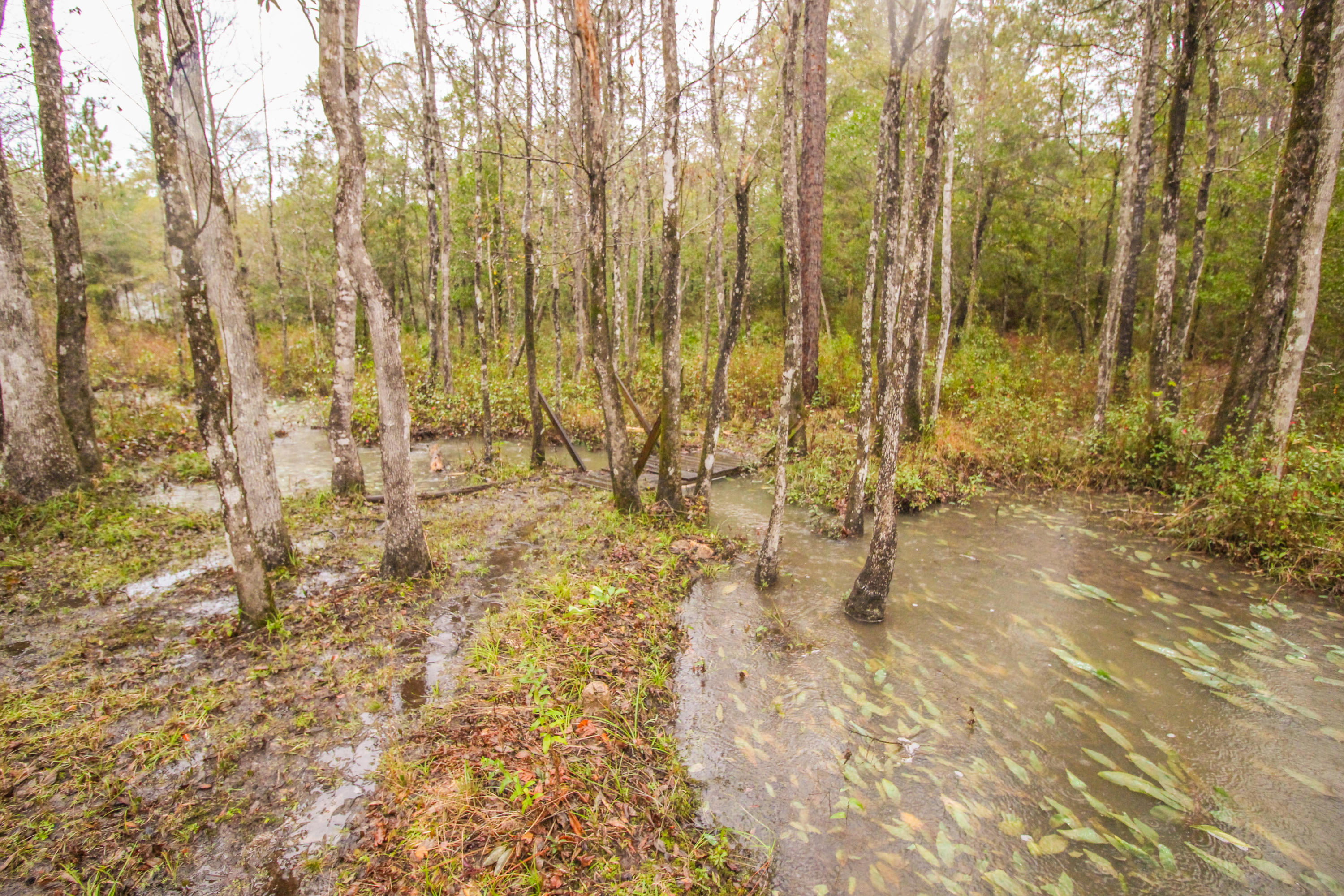 County / Eglin Reservation - Residential