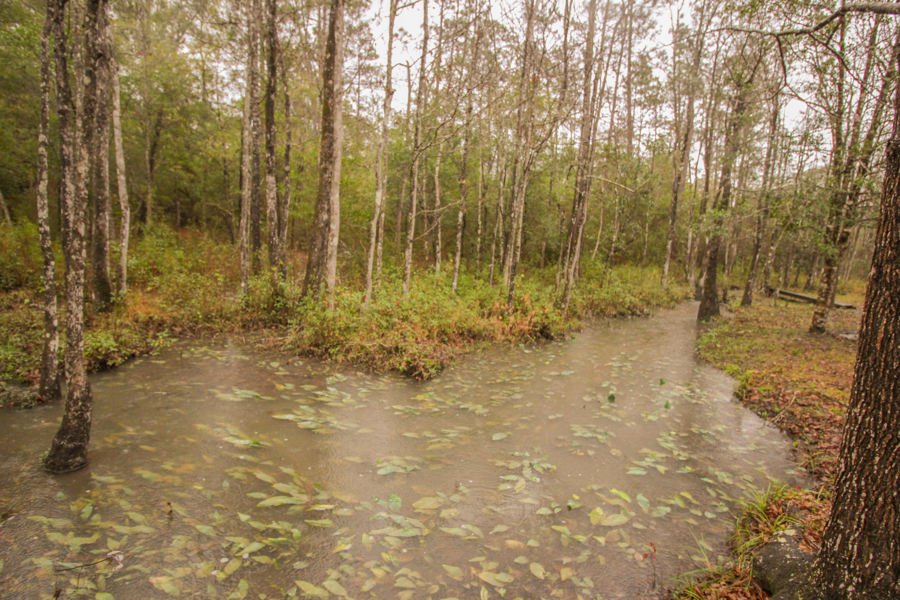 County / Eglin Reservation - Residential