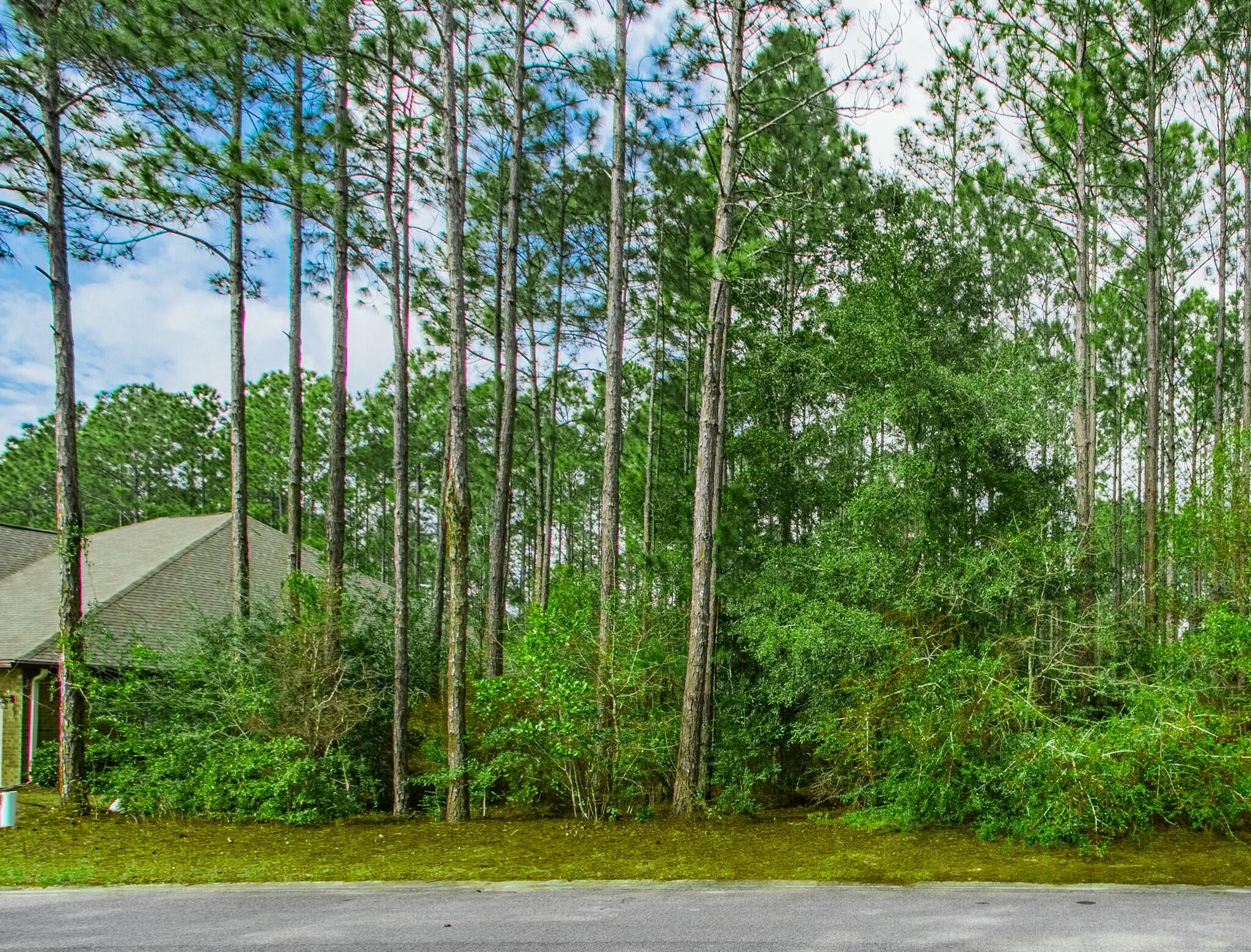 HAMMOCK BAY - Land