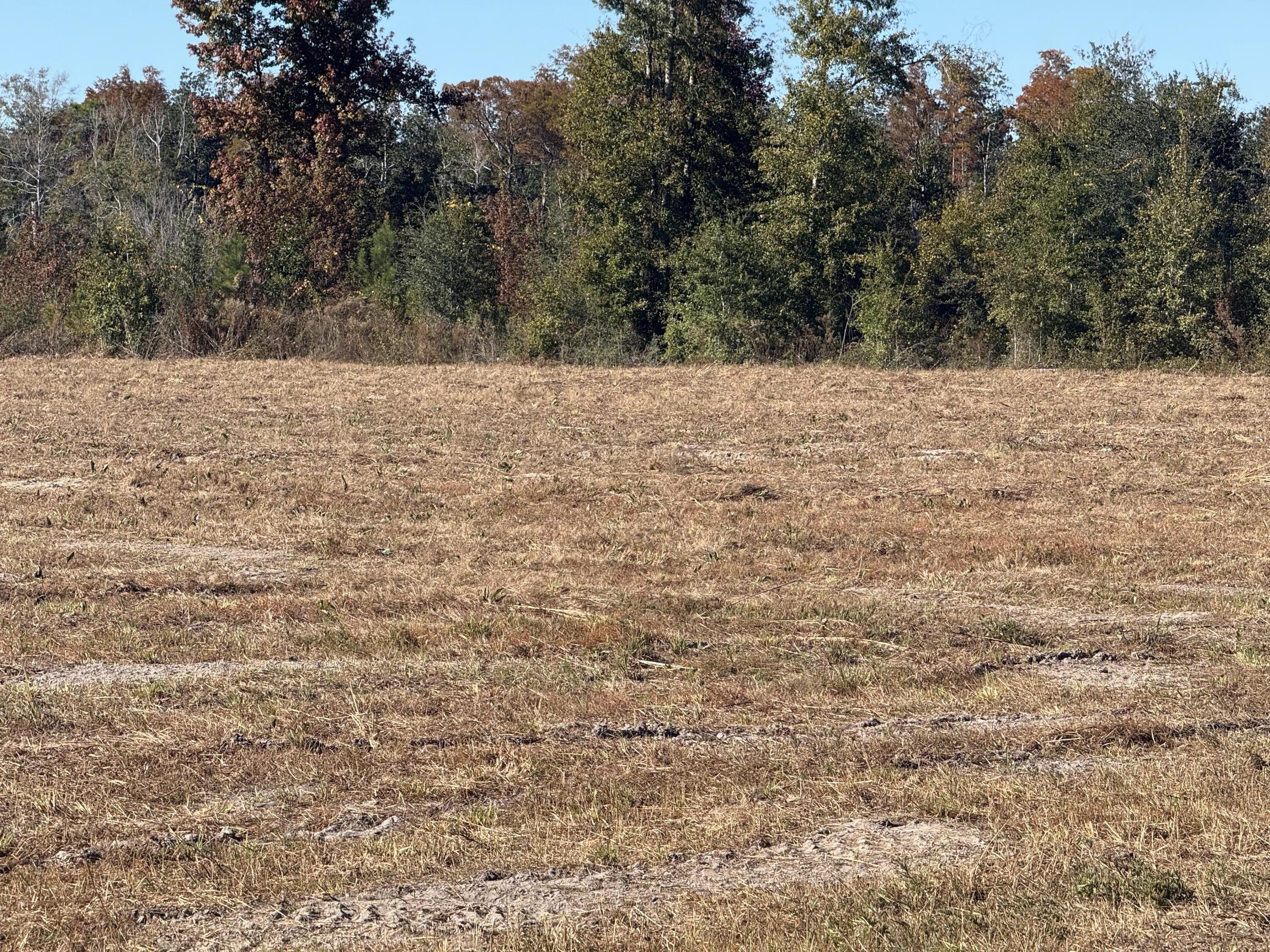 No Named Subdivision - Land