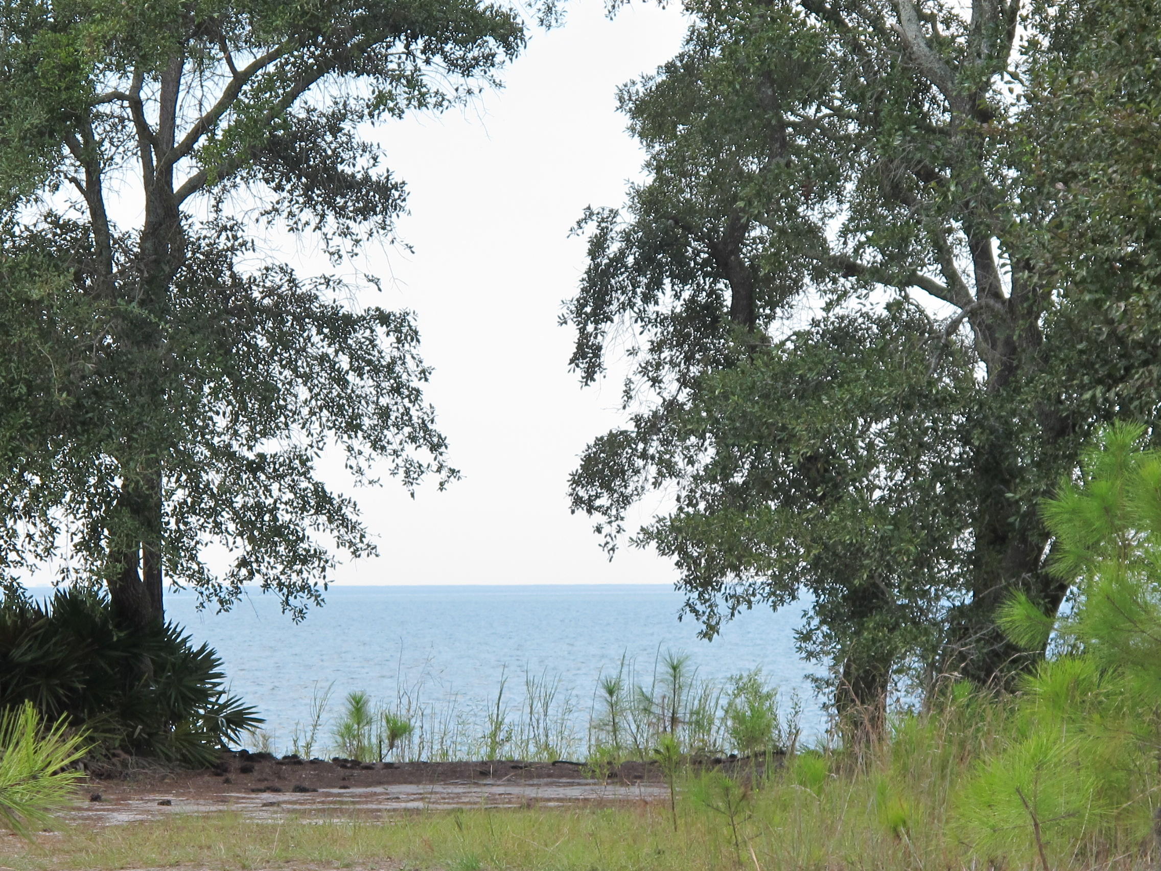 BAY HARBOUR - Land
