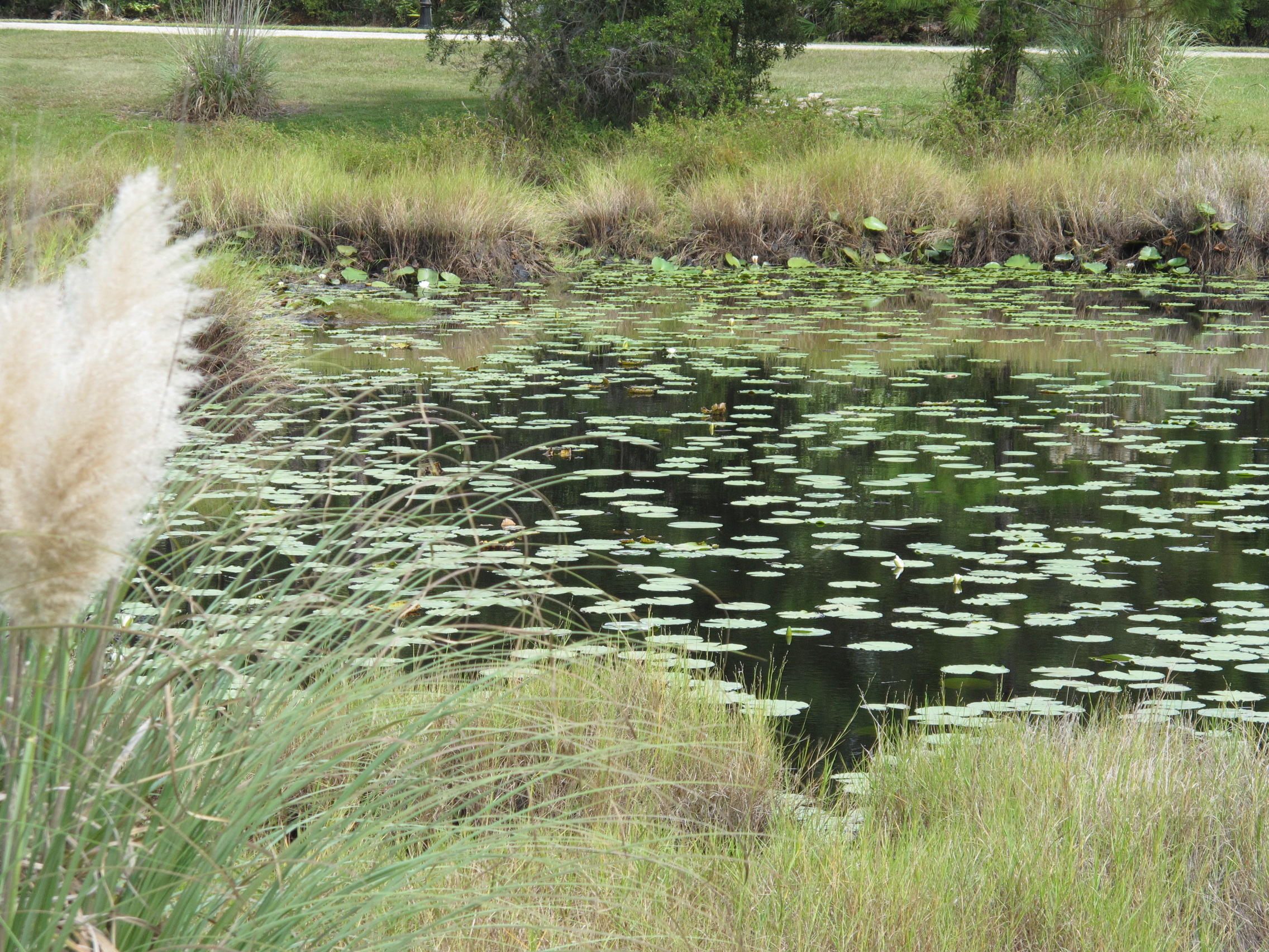 BAY HARBOUR - Land