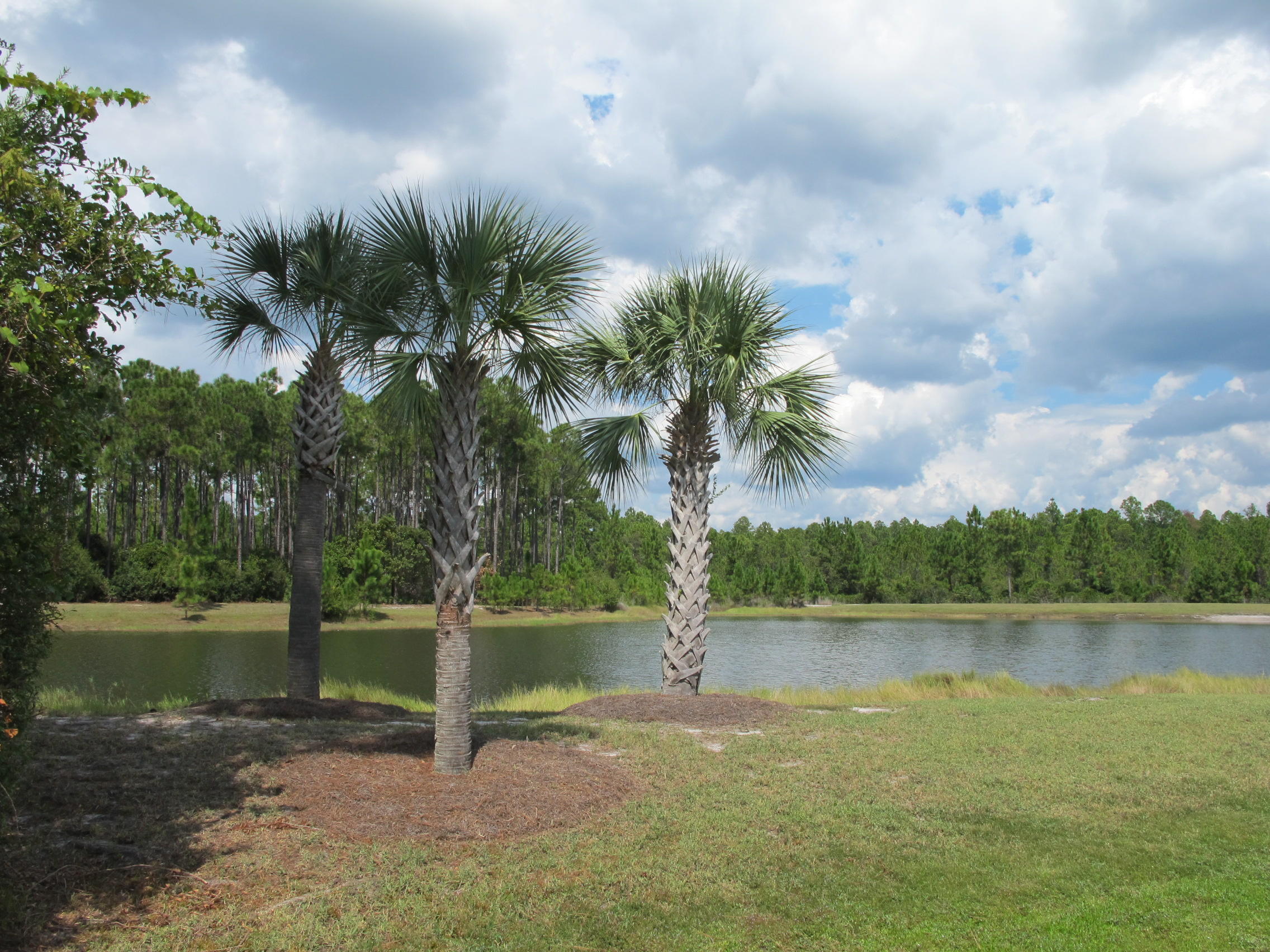 BAY HARBOUR - Land