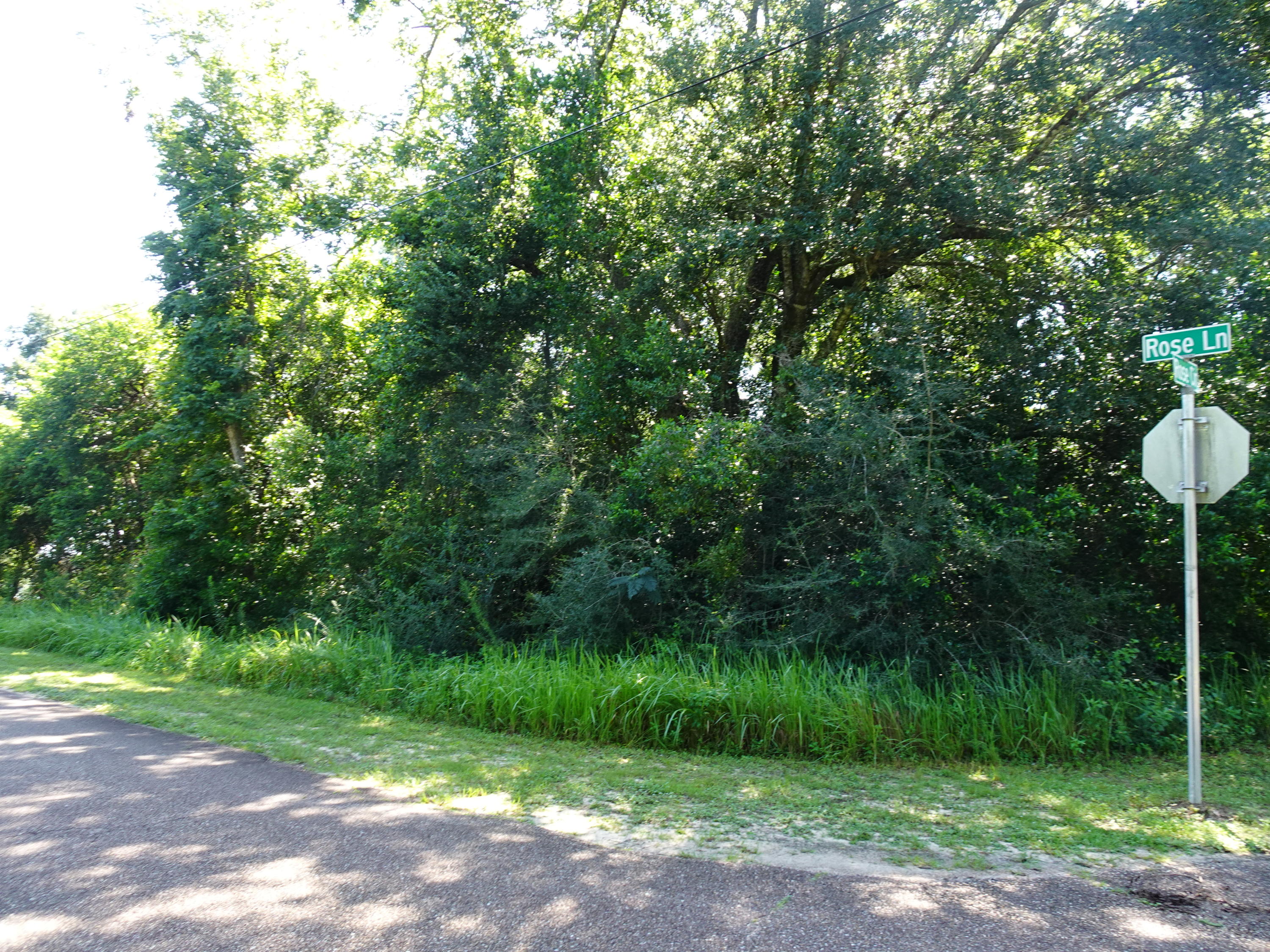 Looking for a large lot in the City Limits of DeFuniak Springs? All public utilities available. Property is currently wooded. With creative clearing and a 2 story house, there could be a possible lakeview of Back Lake. Paved road frontage on 2 sides. Hard to find a lot this size.