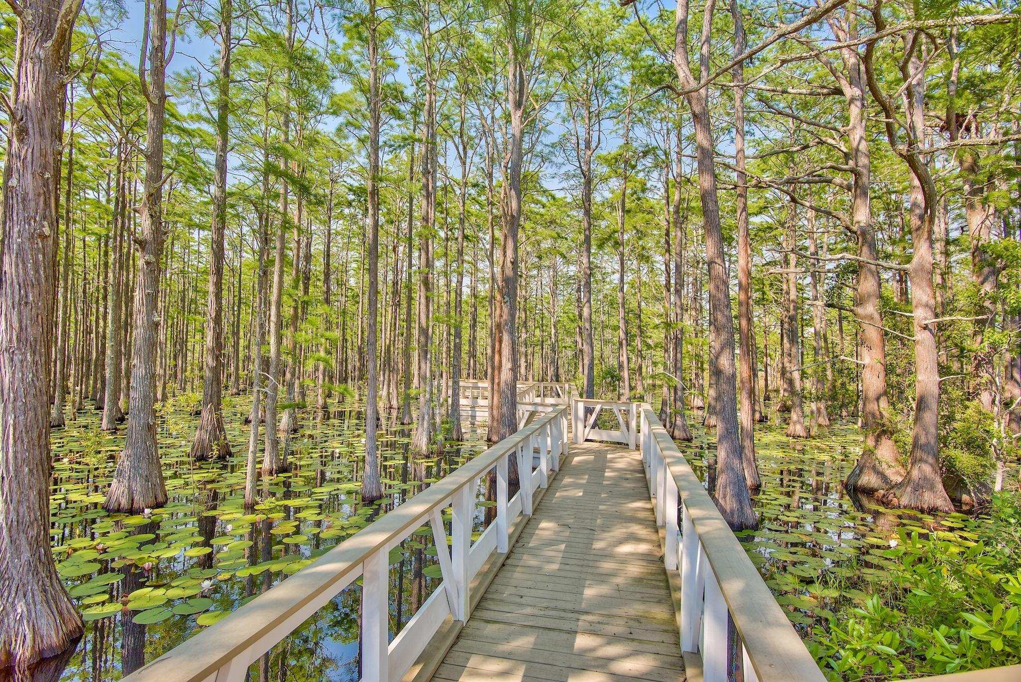 CYPRESS DUNES - Residential
