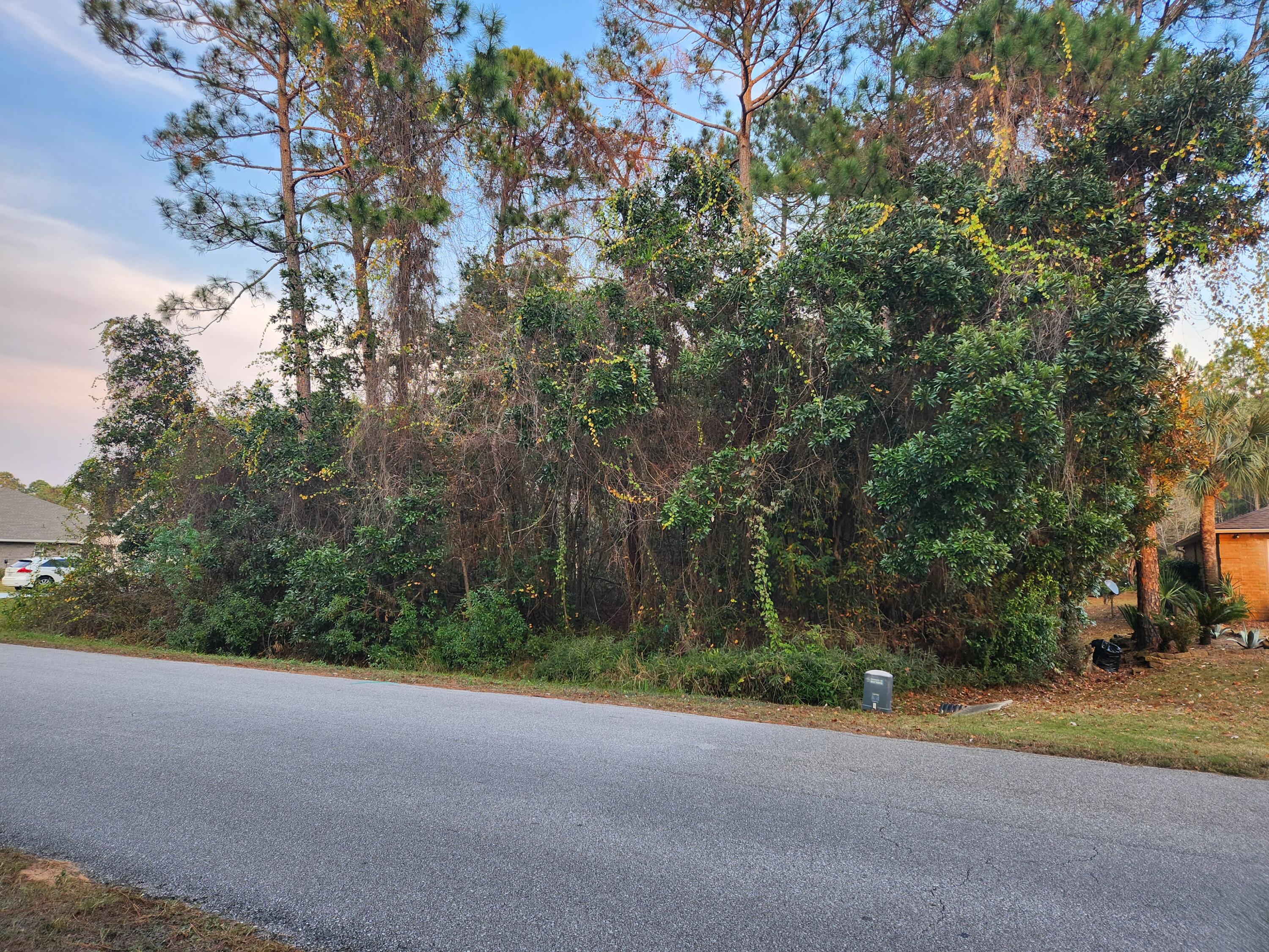 MOTIVATED SELLER , BRING ALL OFFERS Looking for a buildable lot minutes away from the beach, shopping, golfing, entertainment, and Restaurants? This .51 acre lot meets the criteria, but also offers amenities with your HOA membership with Holley by the Sea. With a 48-acre Park and Recreation Center your membership allows access to  an exercise area (free weights, cardio theater, weight stations, stretch room, sauna/steam room), event room, 3 swimming pools, 8 clay tennis courts, pickle ball court, basket ball courts,  walking trail, shuffle board, grill pavilion, game room (pool, foosball, ping pong, air hockey), summer camp, Soundside Beach Area (beach, playground, fishing pier, flag golf), boat ramp & pier. Hidden Creek Club is minutes away offering 18 holes of golf on one of Florida's top courses. WETLAND STUDY and SURVEY AVAILABLE with approximate cost to mitigate