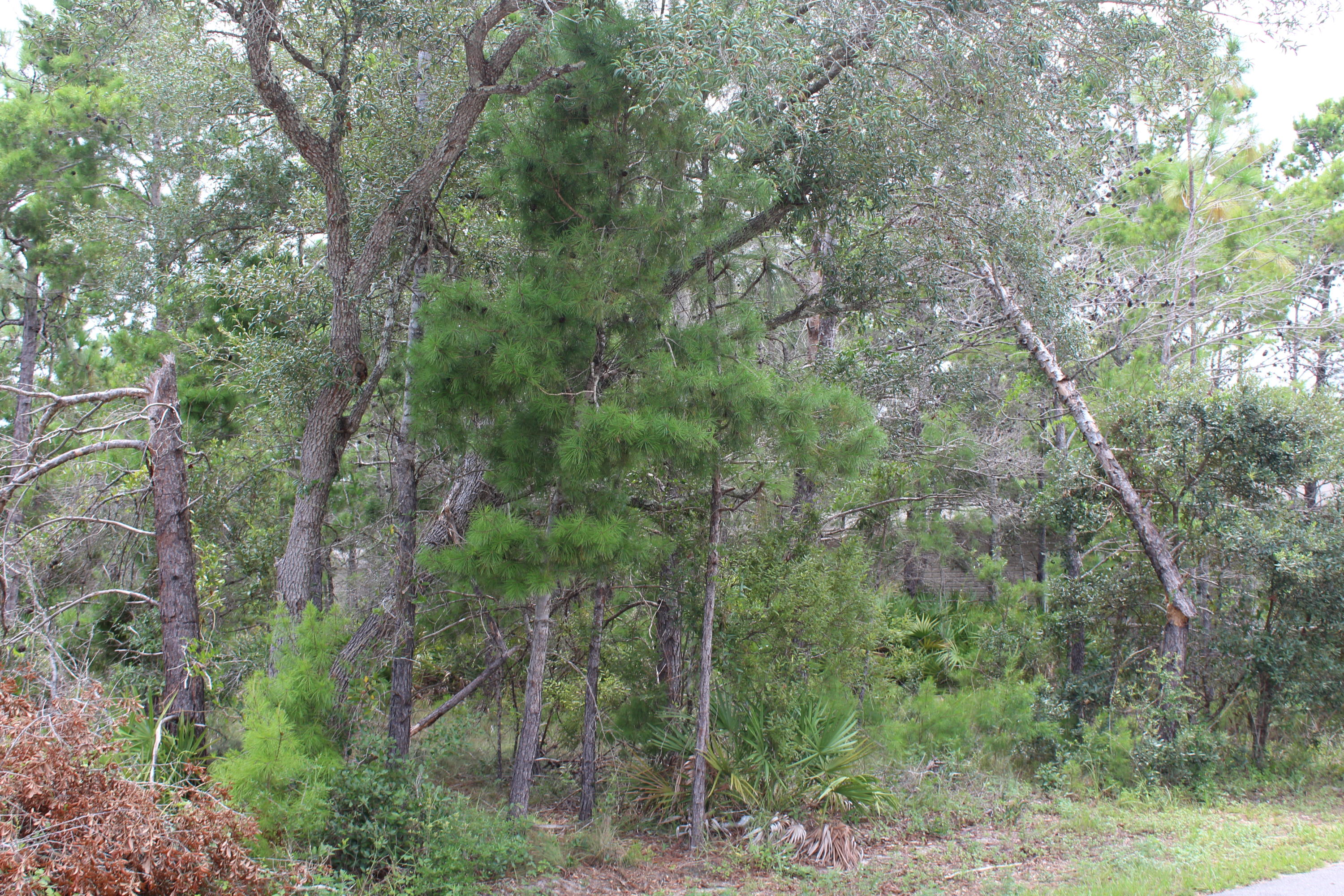 ELIZABETH FARMS 1ST ADD UNRECORDED S/D OR 14 124 - Land