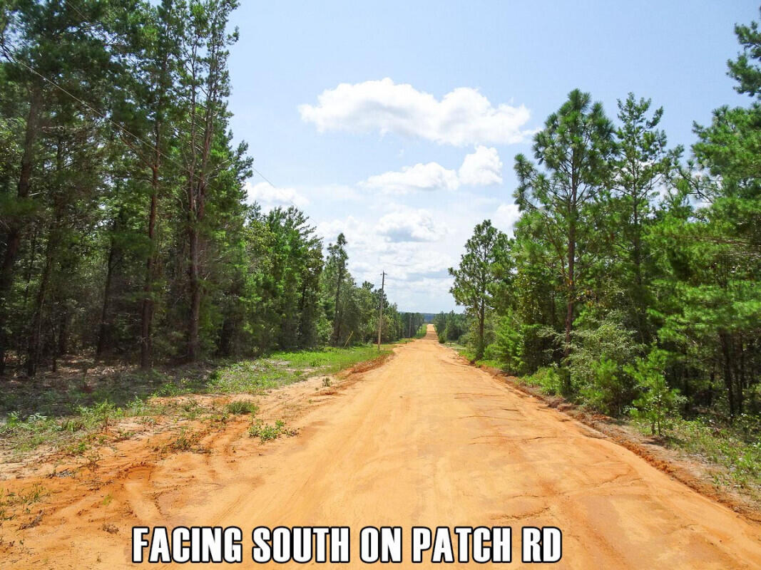 Country Lifestyle By The Gulf!
This property is perfect for your rural ranch and home site. Located on a maintained dirt road, just about quarter mile from a paved county road.The land is undeveloped and is ready for you to clear your home site amongst the trees. Most neighbors on this road appear to have built their home site behind the trees to enjoy the natural privacy of the forest.Excellent location to enjoy the peace and seclusion of the Florida countryside without being too far away from civilization.You can make it to DeFuniak Springs in 20 minutes or less for access to grocery stores like WalMart, schools, medical care, banks, hardware, post office, etc. You can also head to Crestview 25 minutes away which is a little larger for the same amenities and an airport as well.