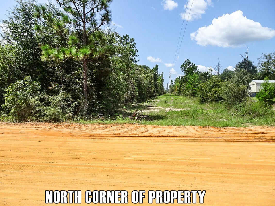 NONESUCH WAY - Land