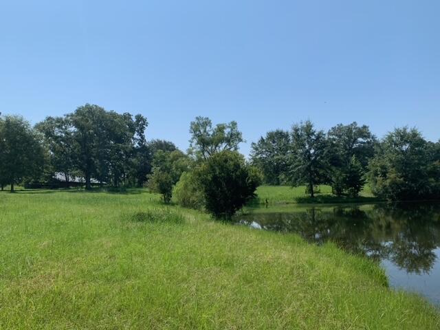 ESCAMBIA FARMS - Land