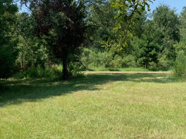 ESCAMBIA FARMS - Land