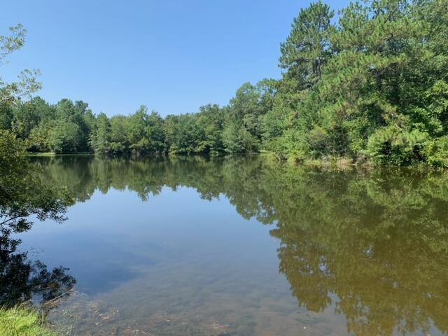 ESCAMBIA FARMS - Land