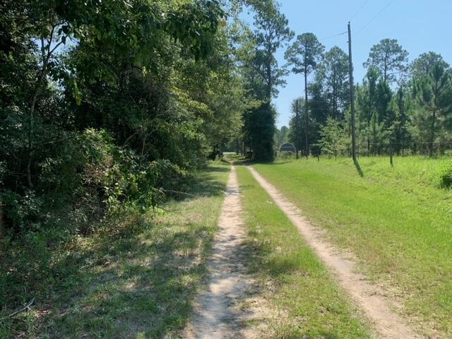 ESCAMBIA FARMS - Land