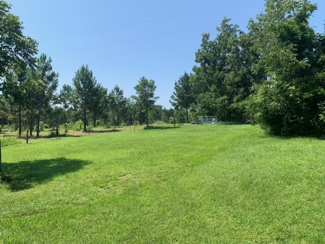 ESCAMBIA FARMS - Land